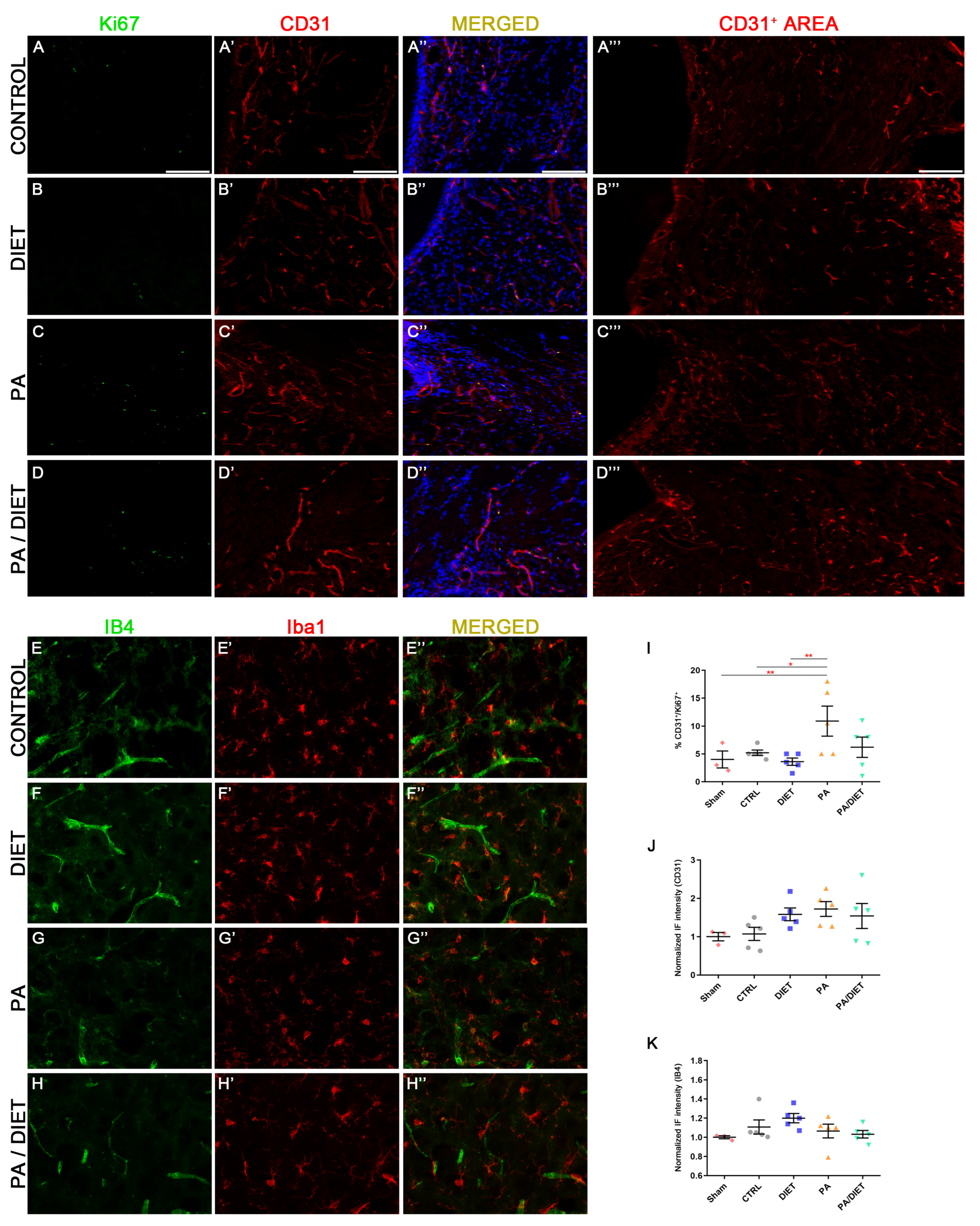 Antioxidants 13 00138 g008