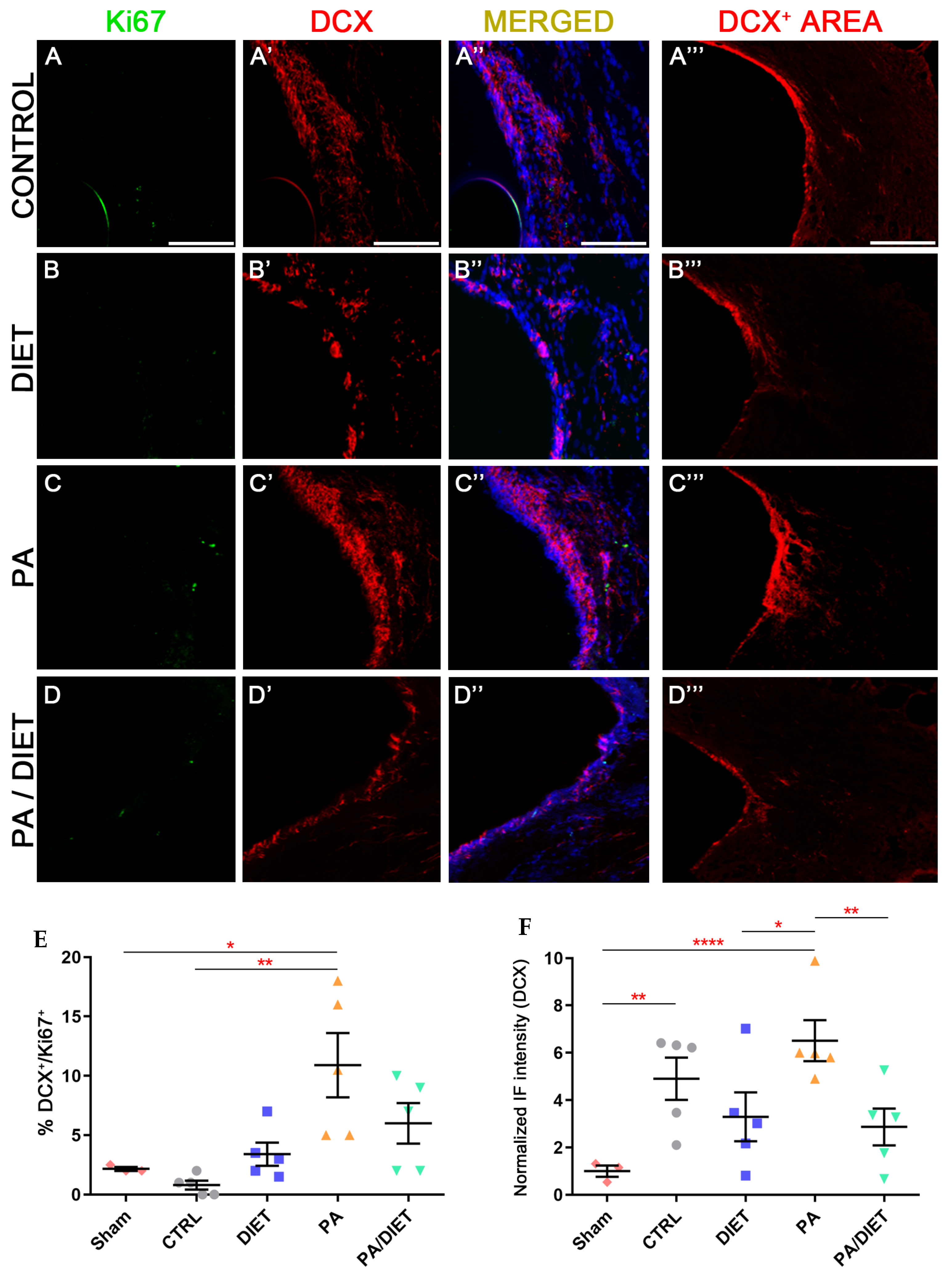 Antioxidants 13 00138 g009