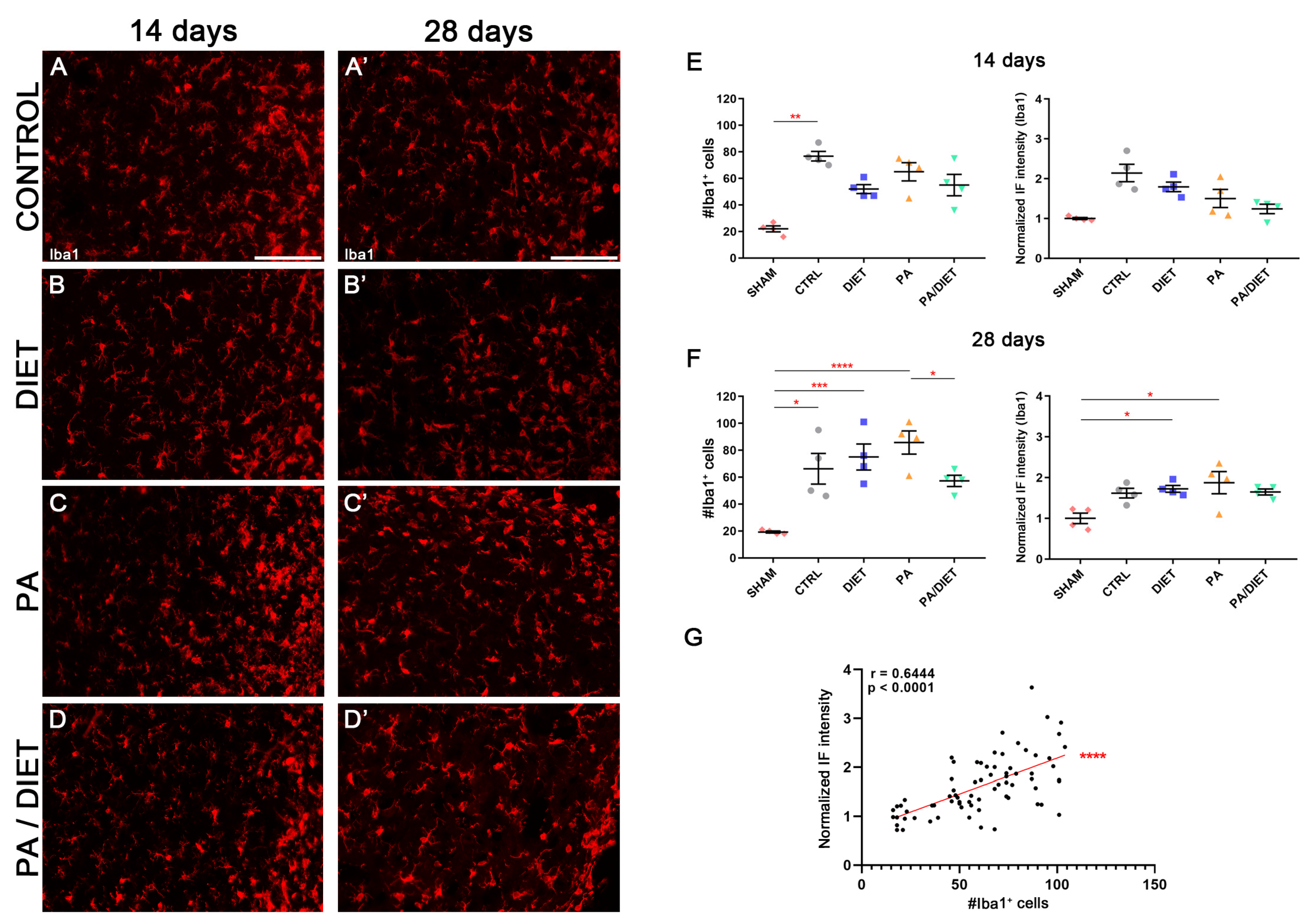 Antioxidants 13 00138 g010
