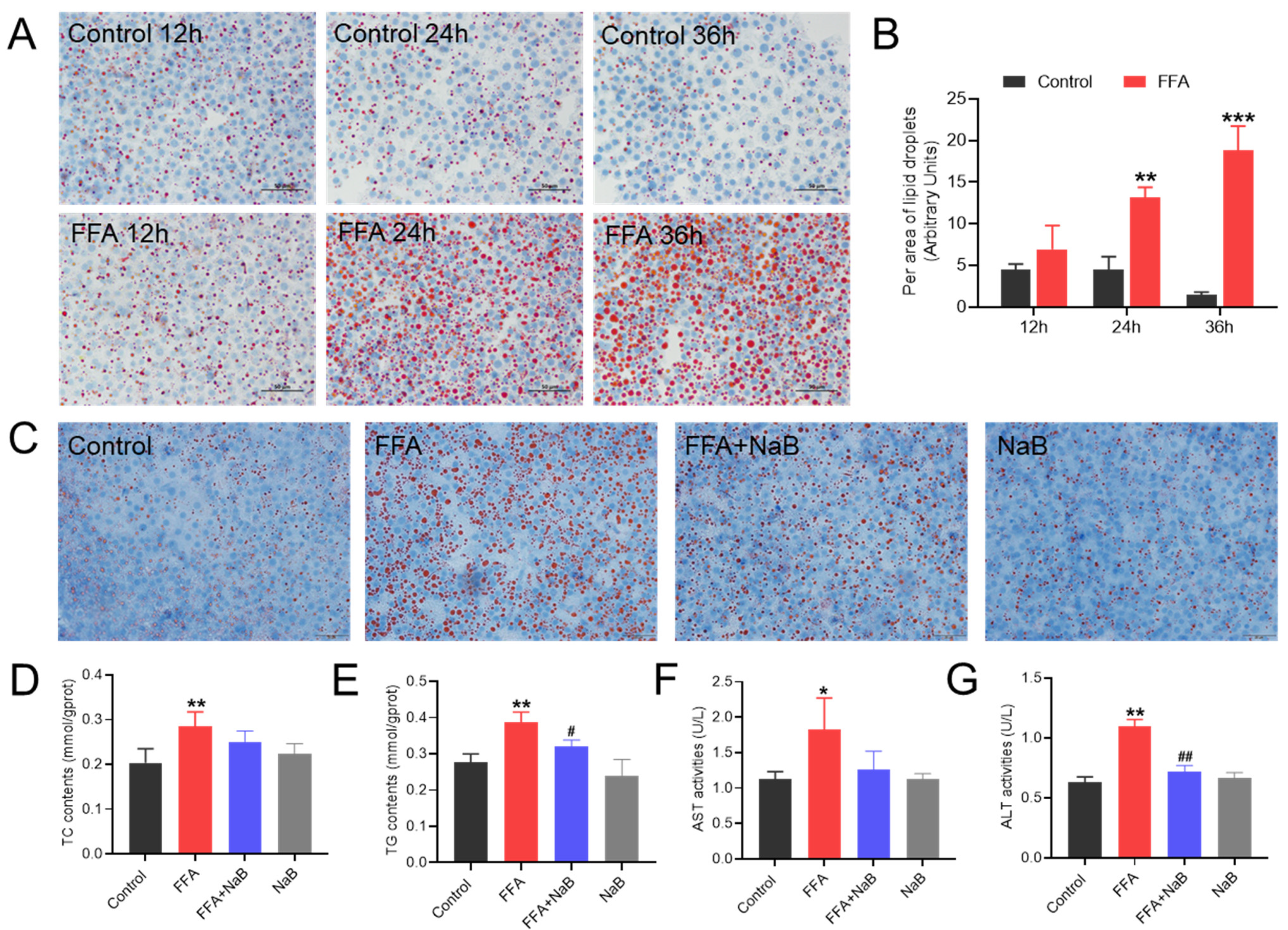 Antioxidants 13 00140 g001