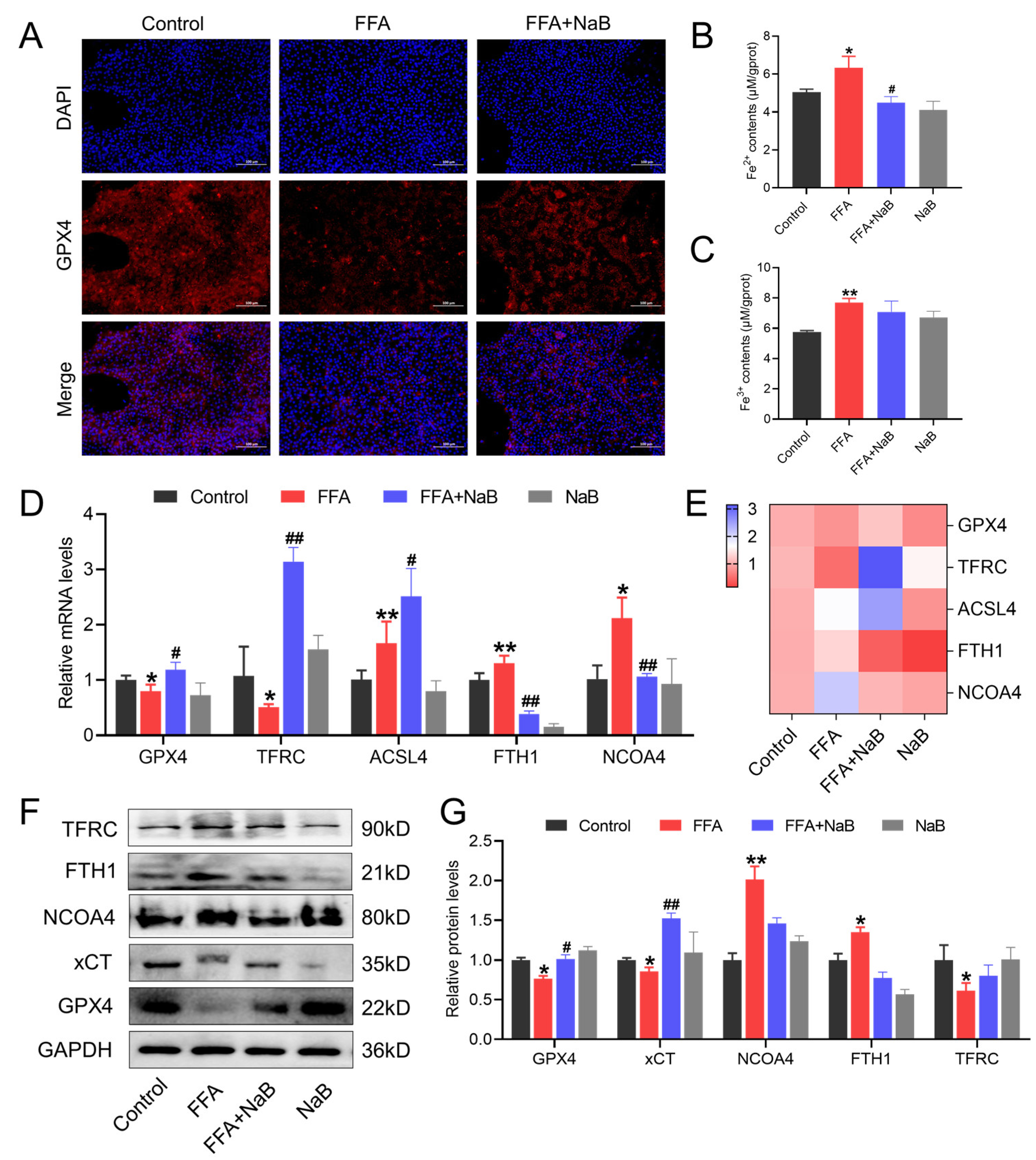 Antioxidants 13 00140 g003
