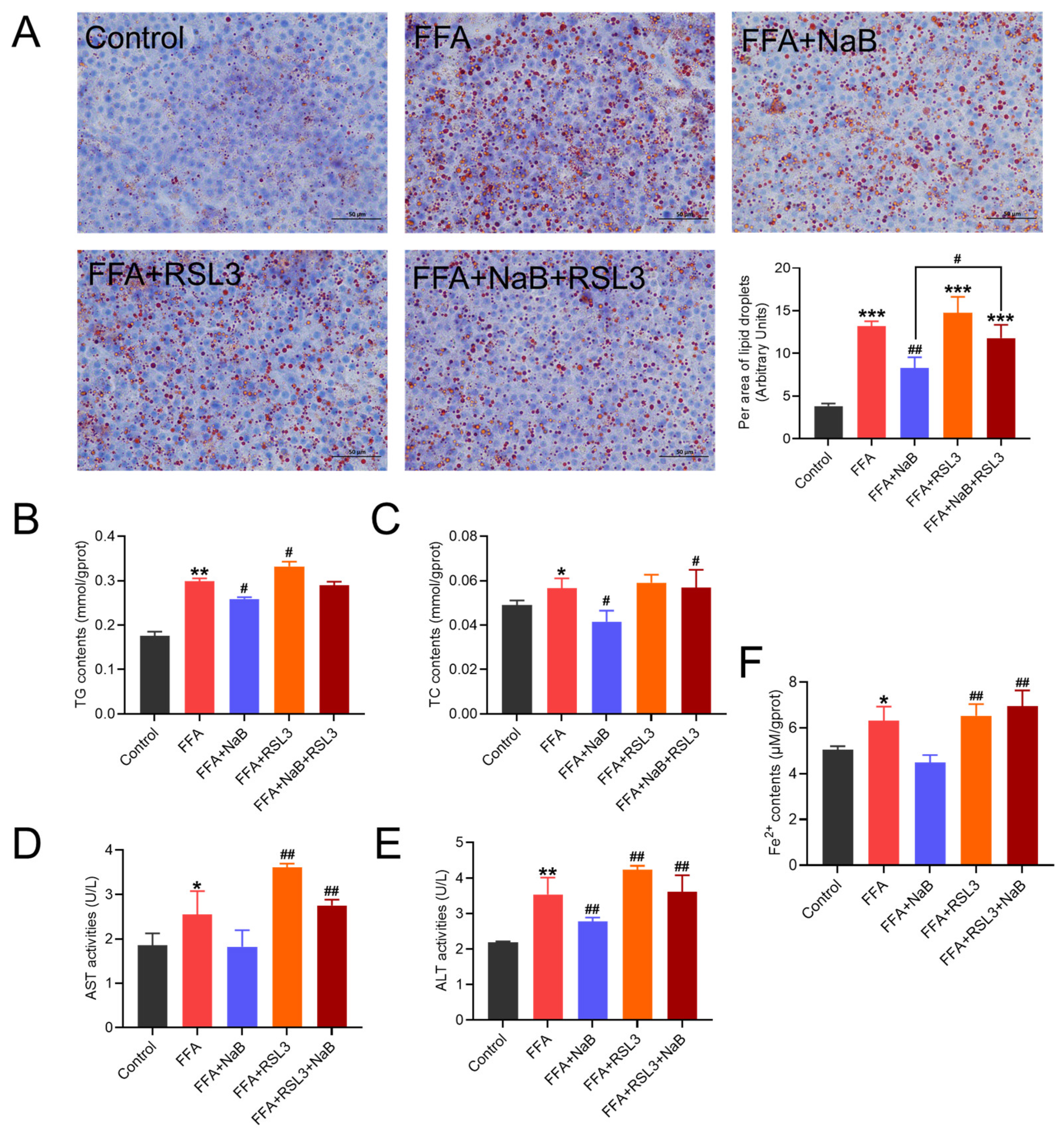 Antioxidants 13 00140 g004