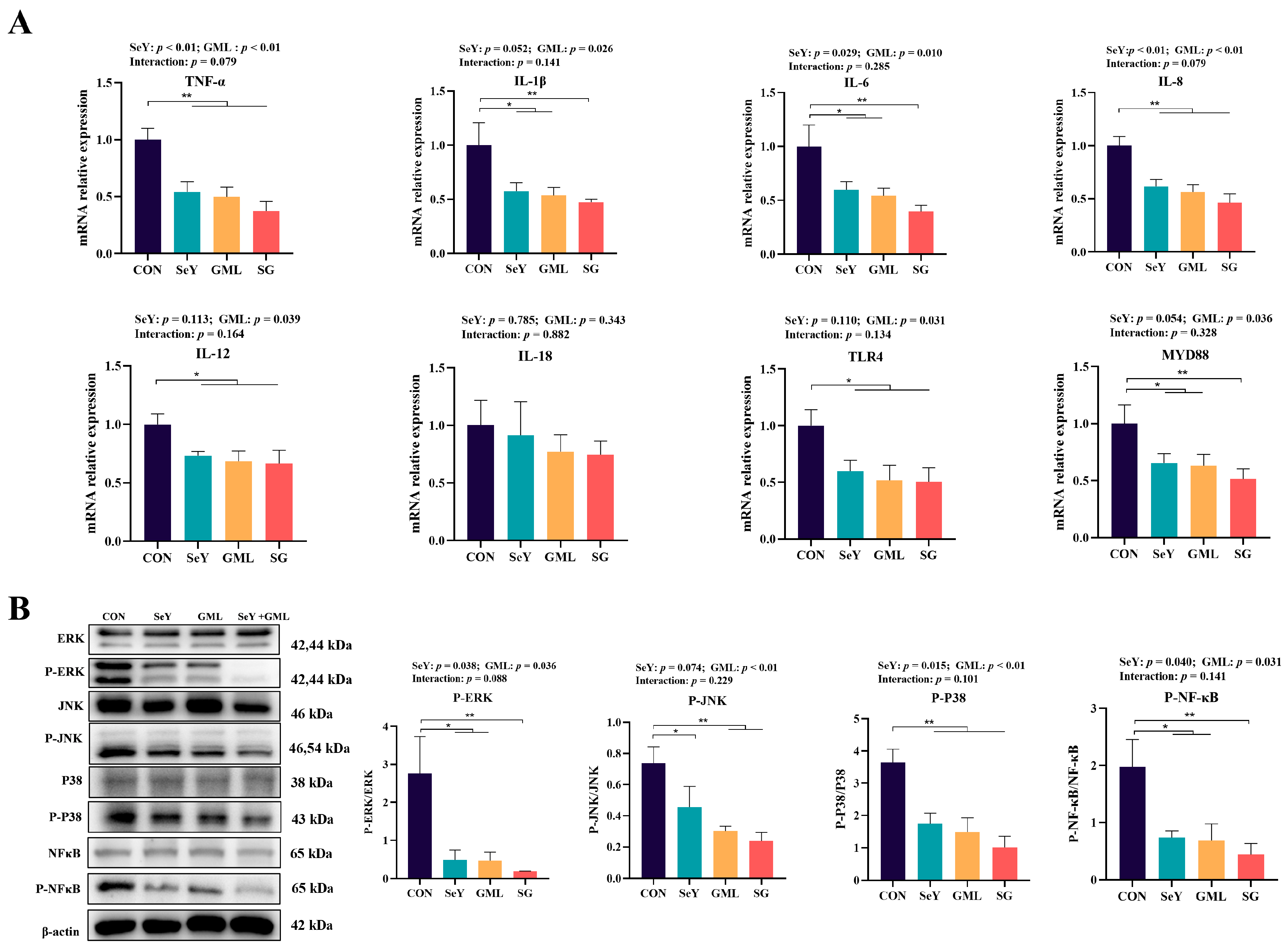 Antioxidants 13 00141 g006