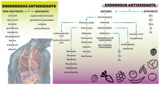 Antioxidants 13 00142 g001