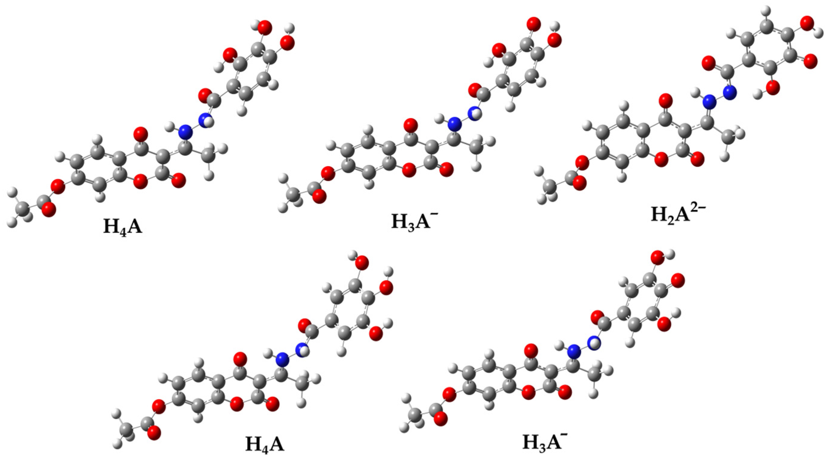Antioxidants 13 00143 g003
