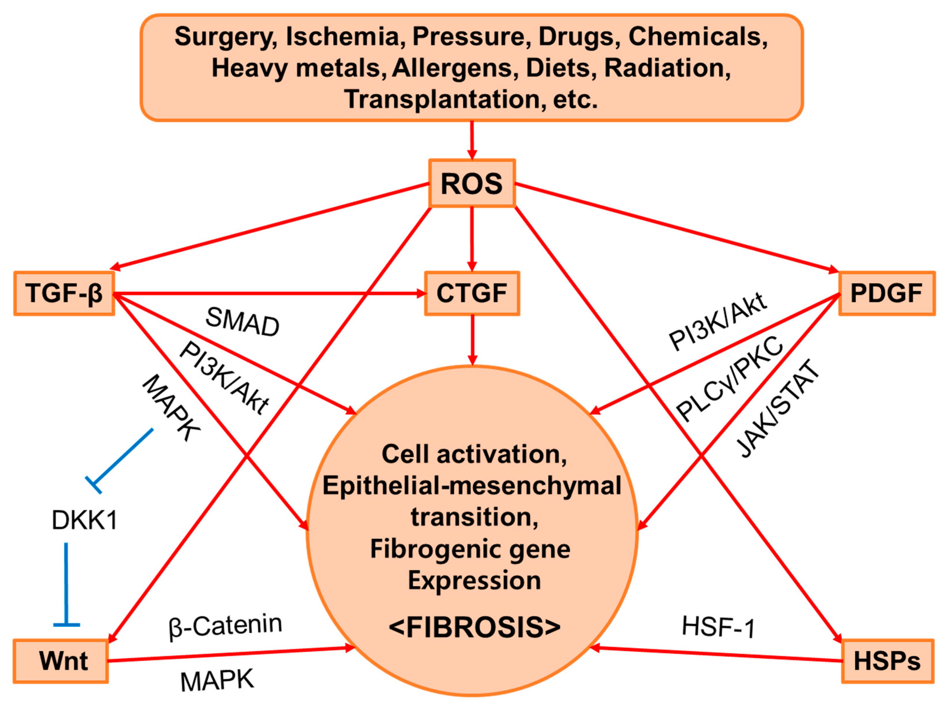 Antioxidants 13 00146 g002