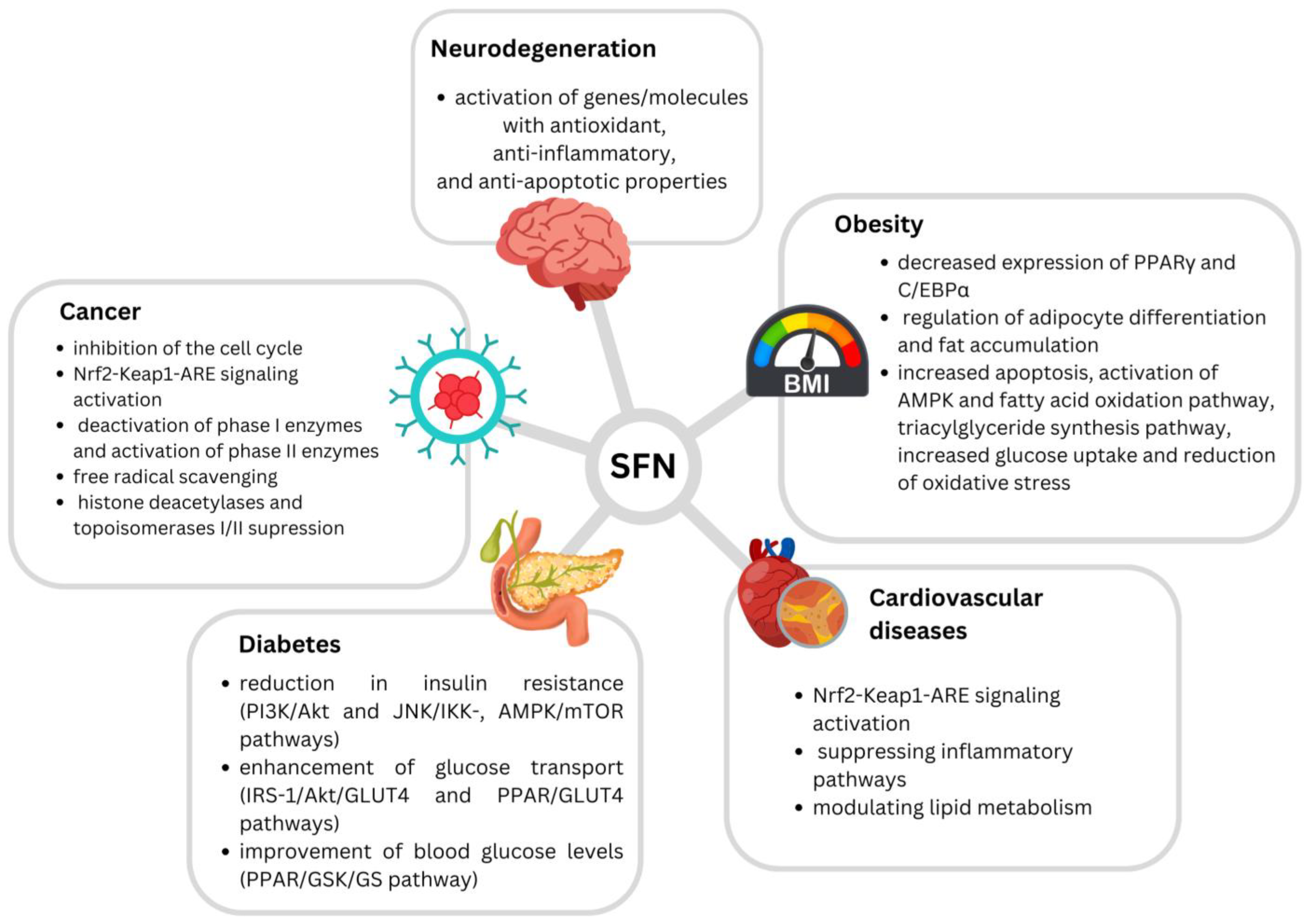 Antioxidants 13 00147 g001