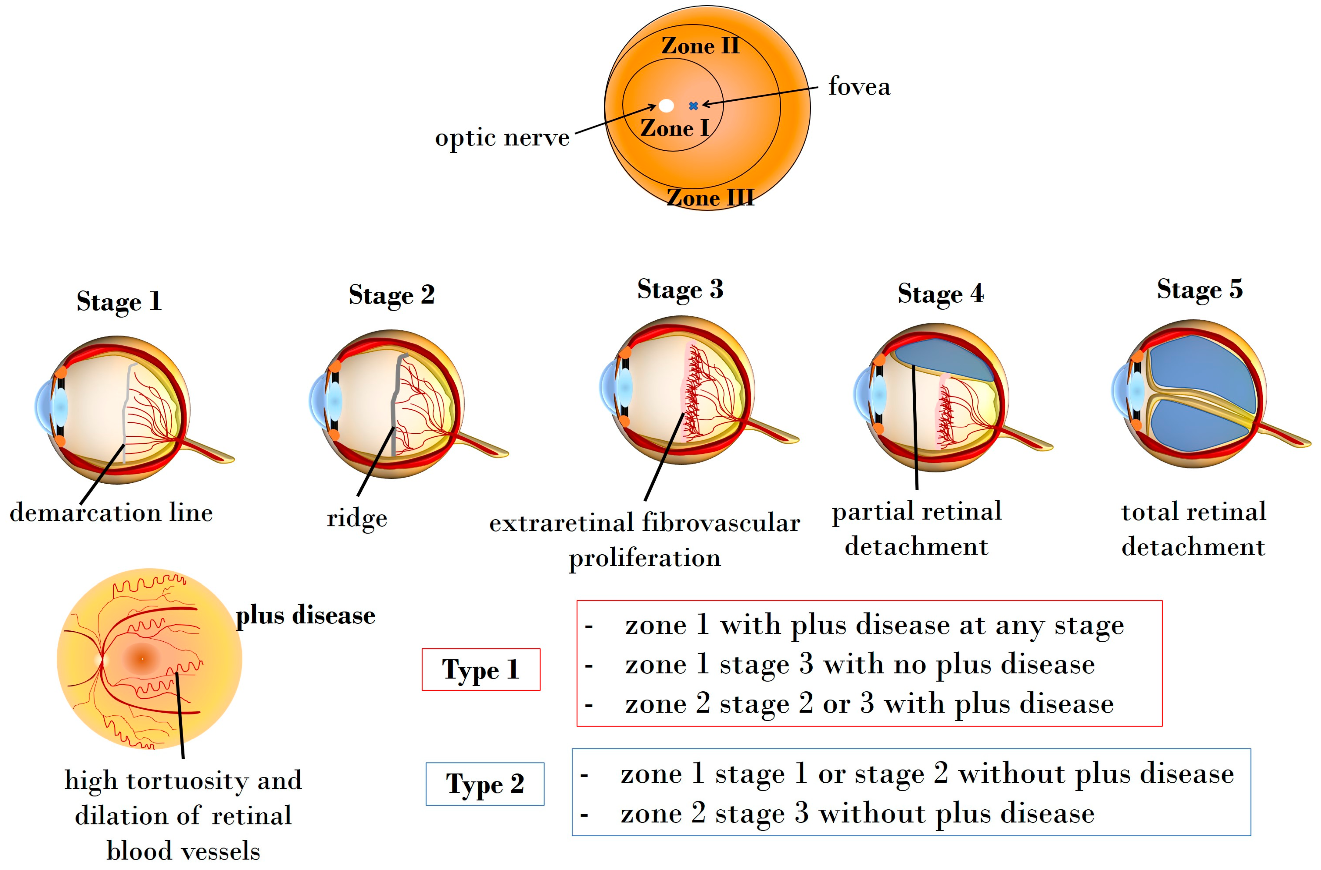Antioxidants 13 00148 g001