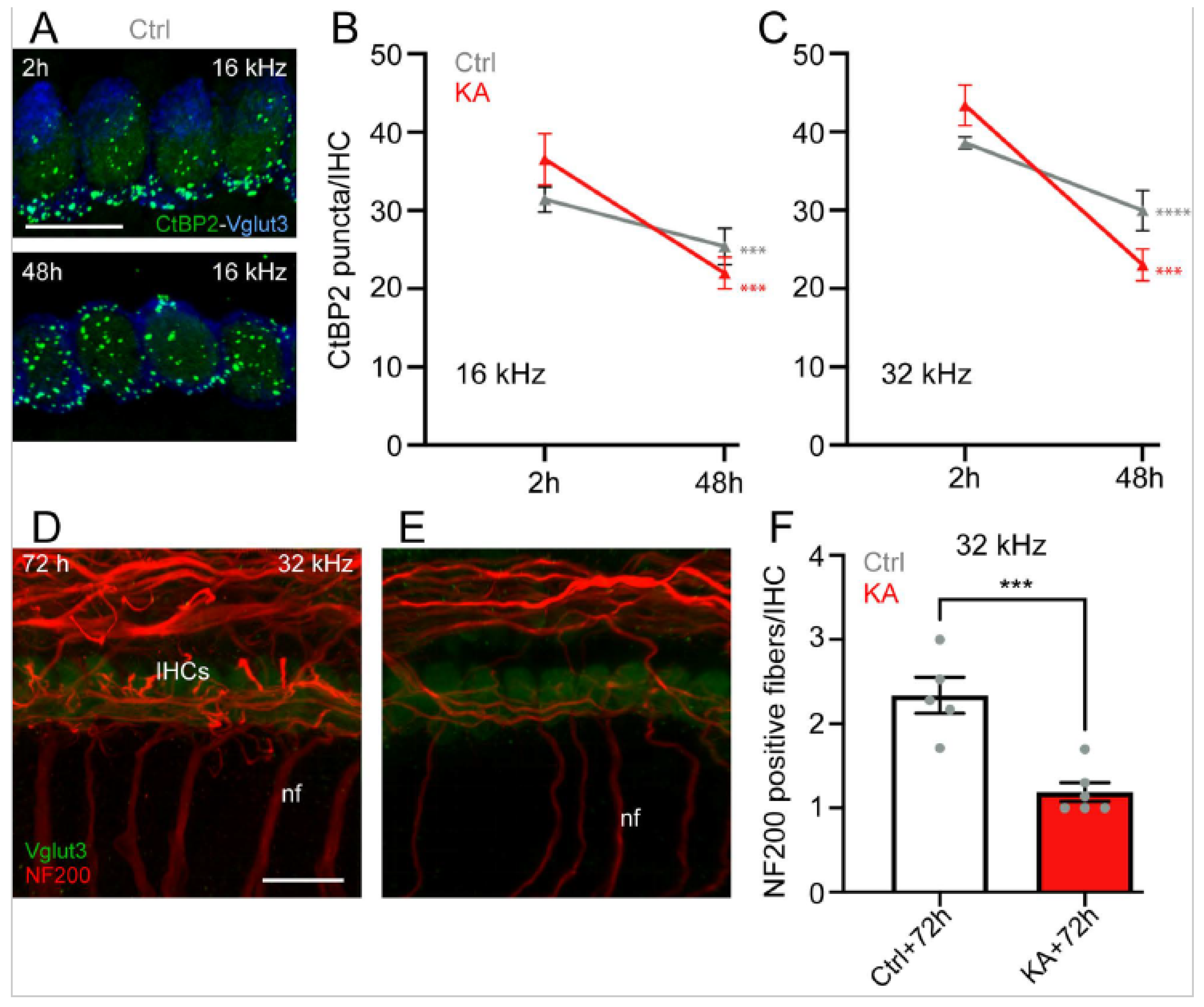 Antioxidants 13 00149 g003
