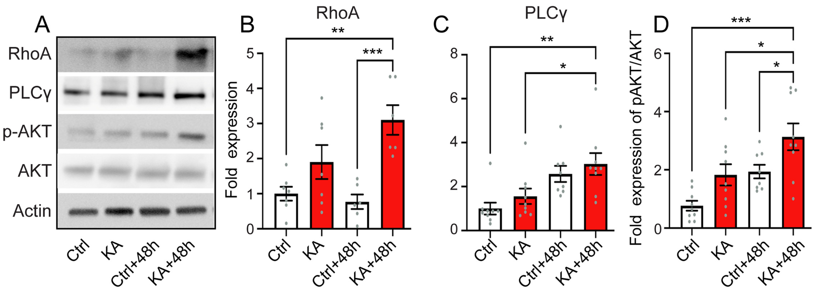 Antioxidants 13 00149 g006