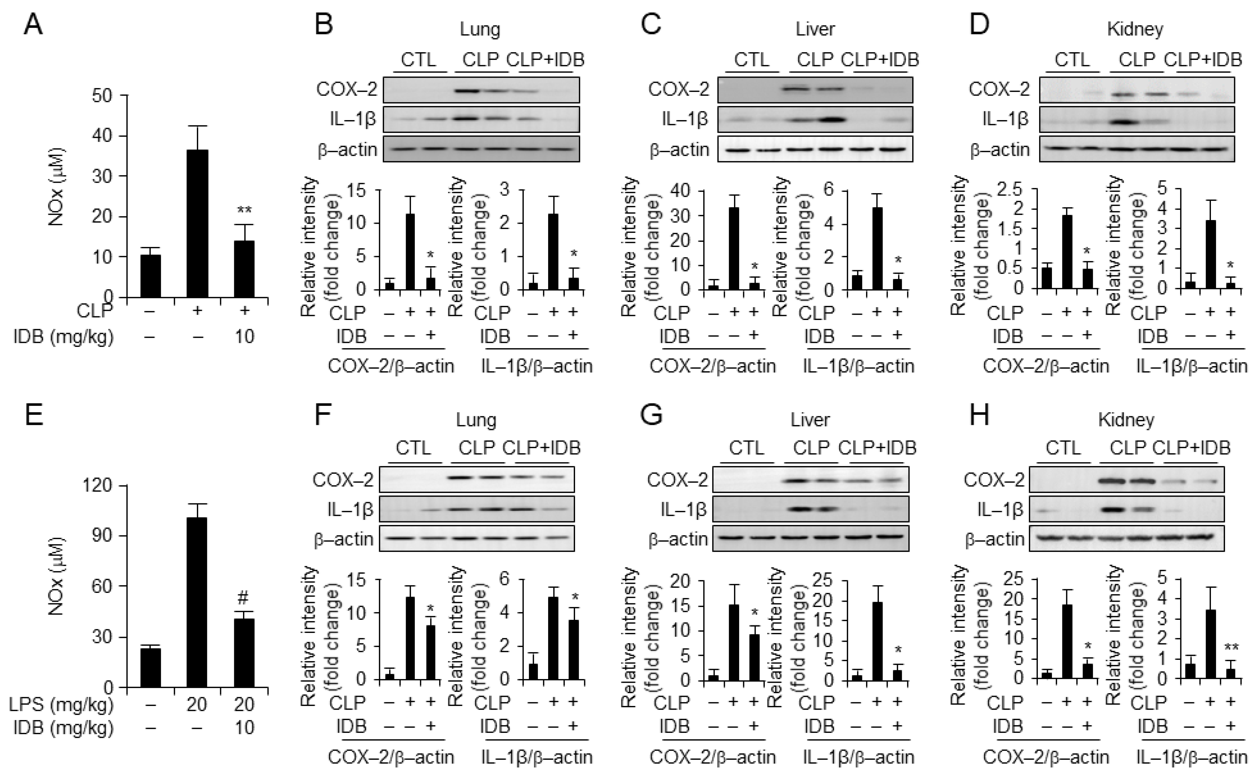 Antioxidants 13 00151 g002
