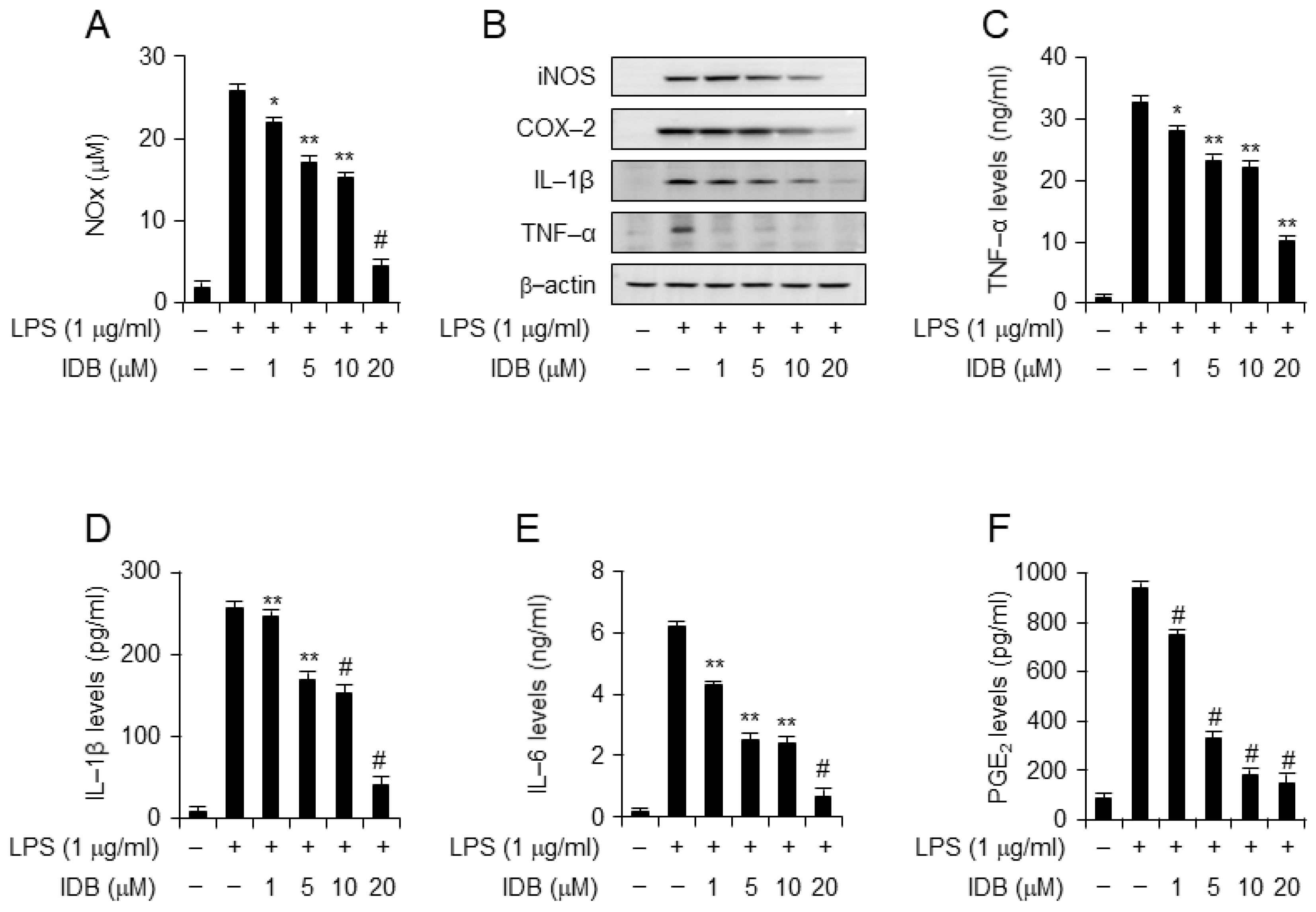 Antioxidants 13 00151 g004