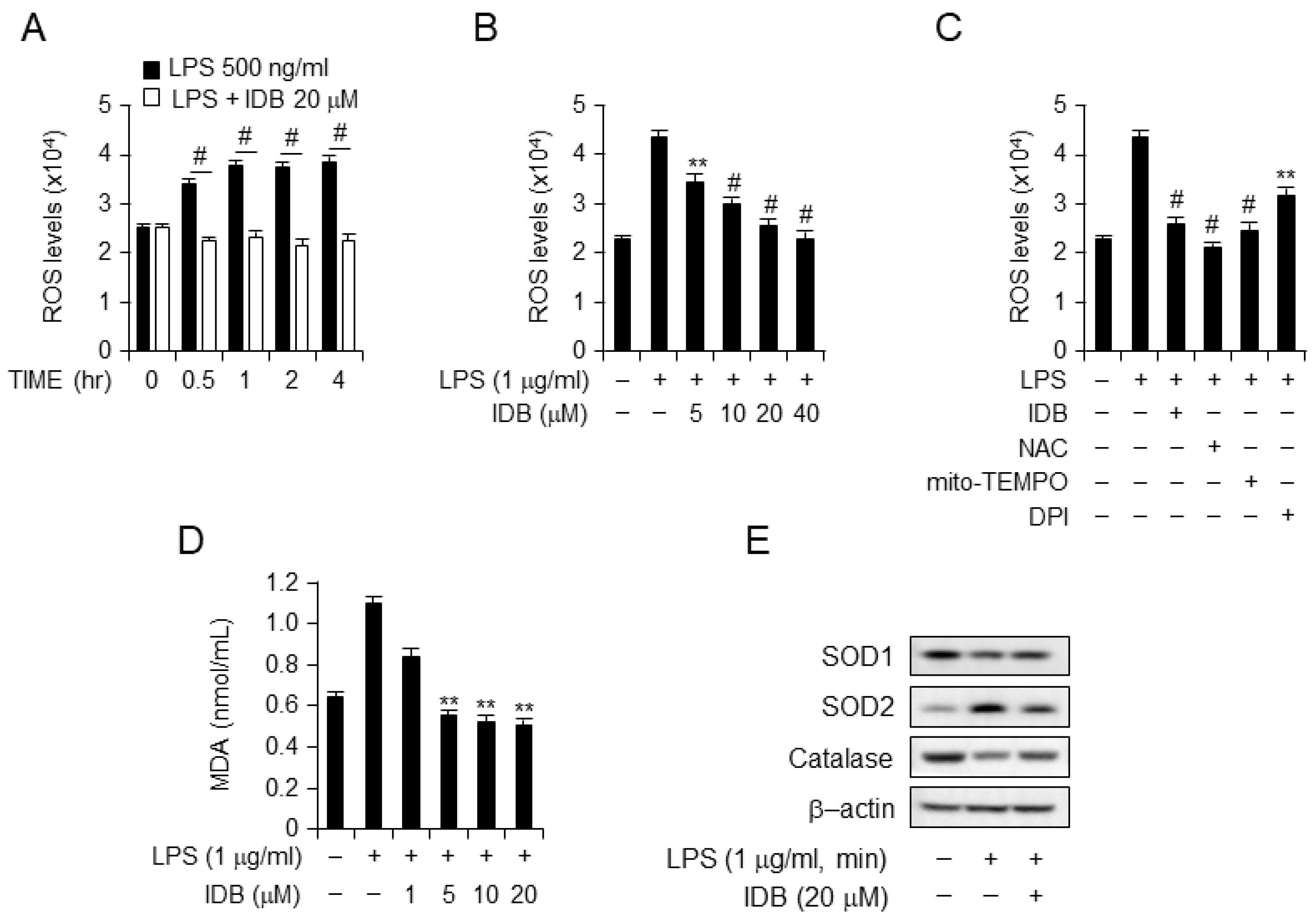 Antioxidants 13 00151 g006