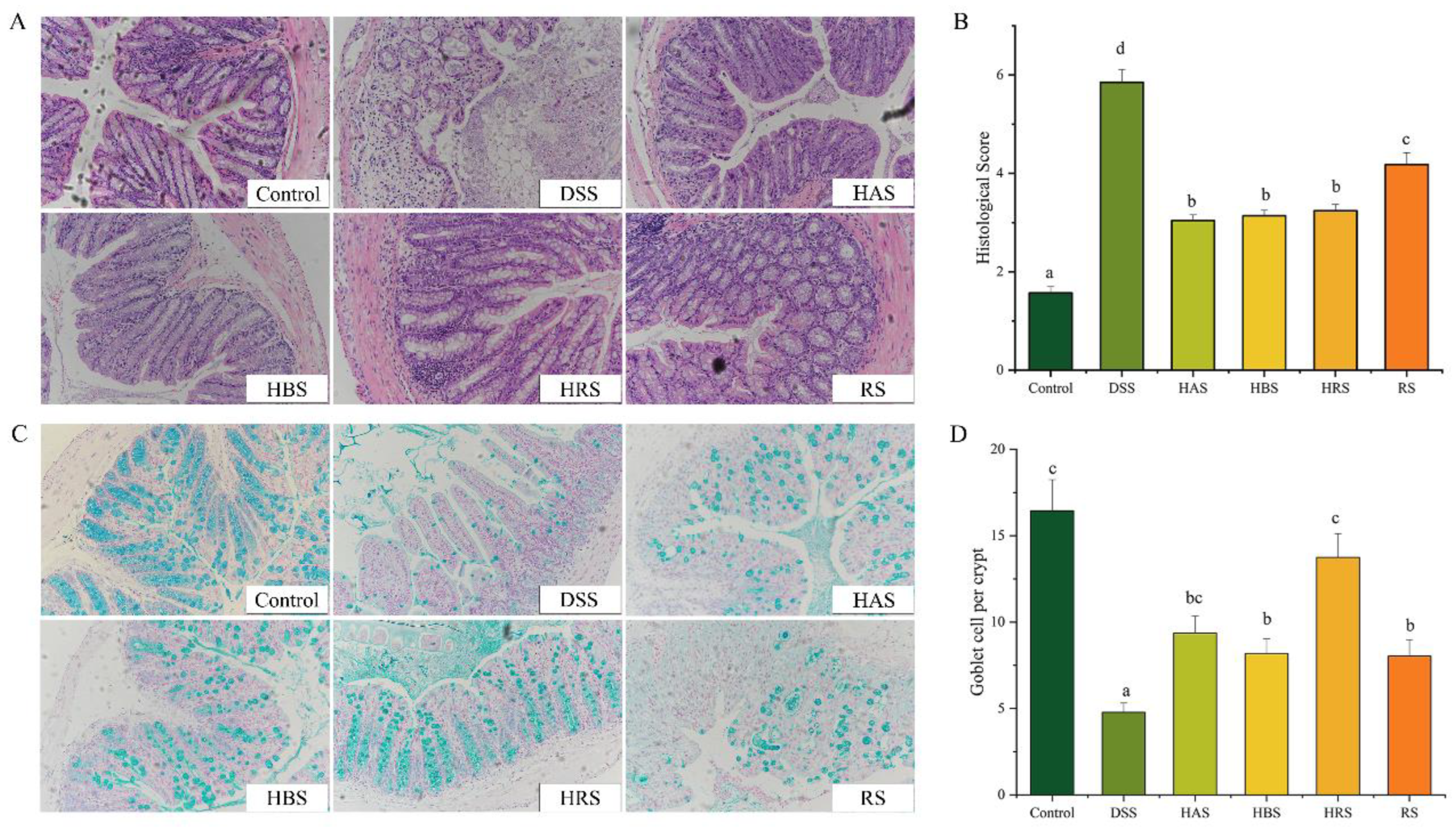 Antioxidants 13 00153 g002