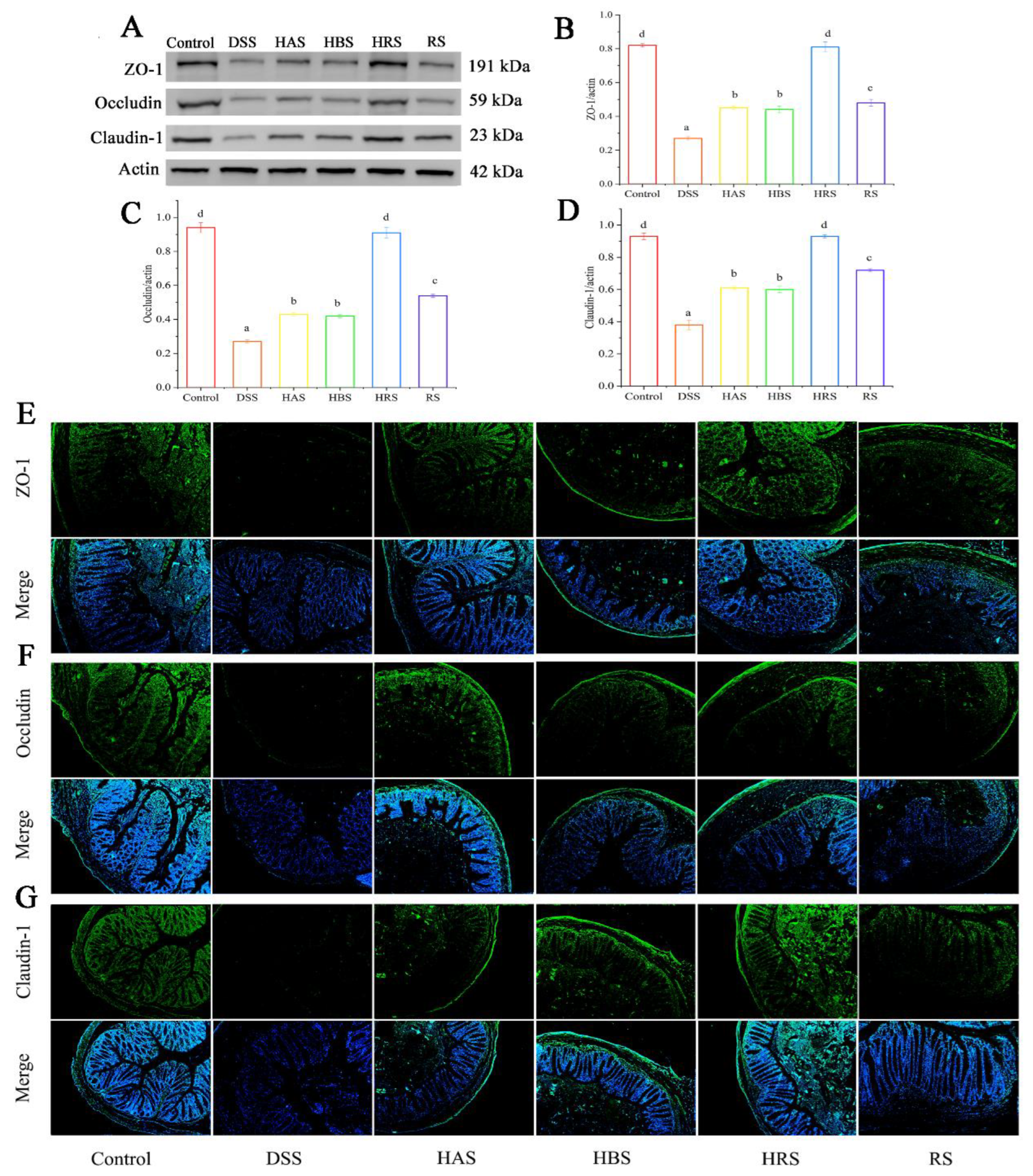 Antioxidants 13 00153 g004