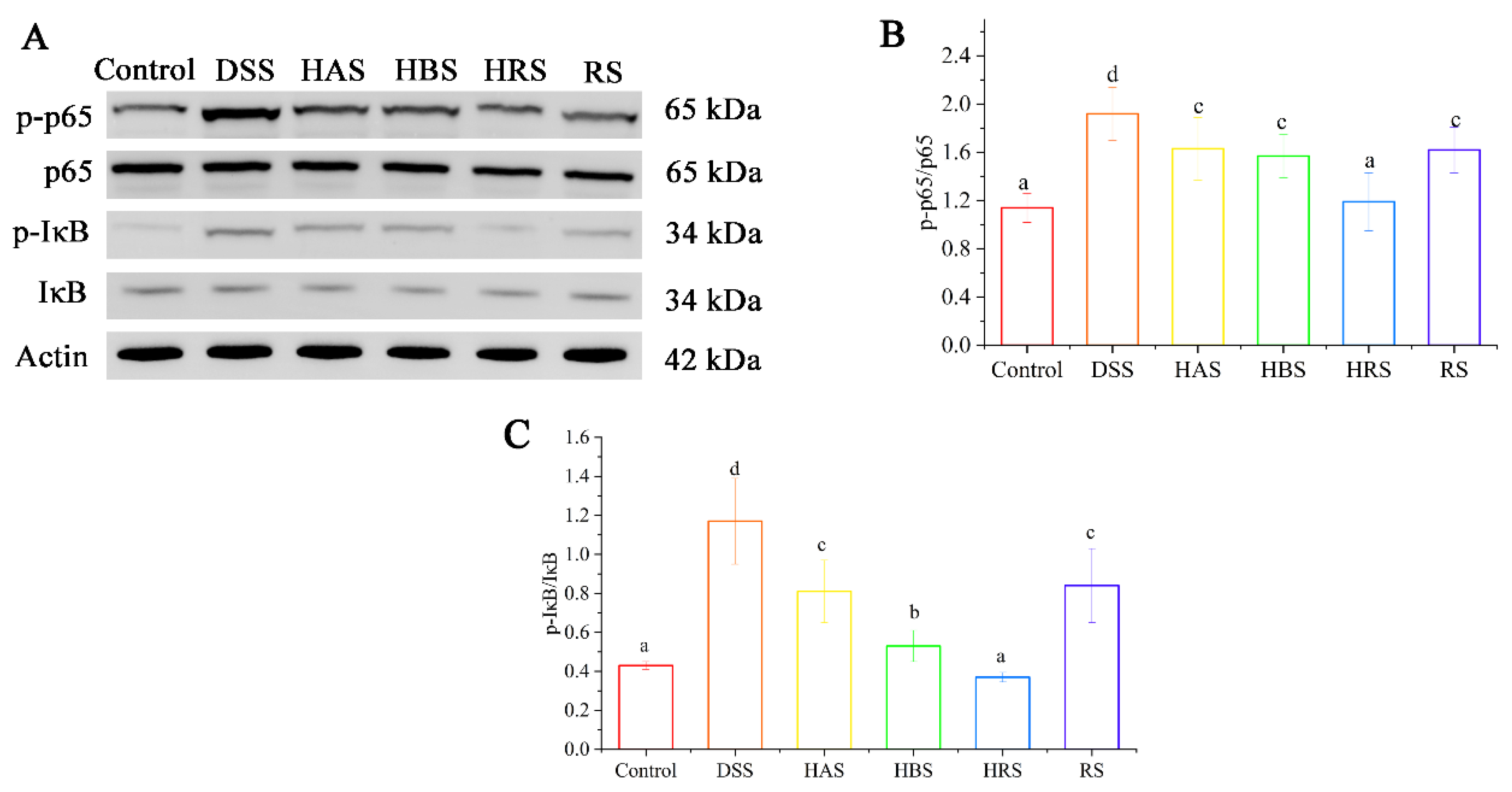 Antioxidants 13 00153 g005