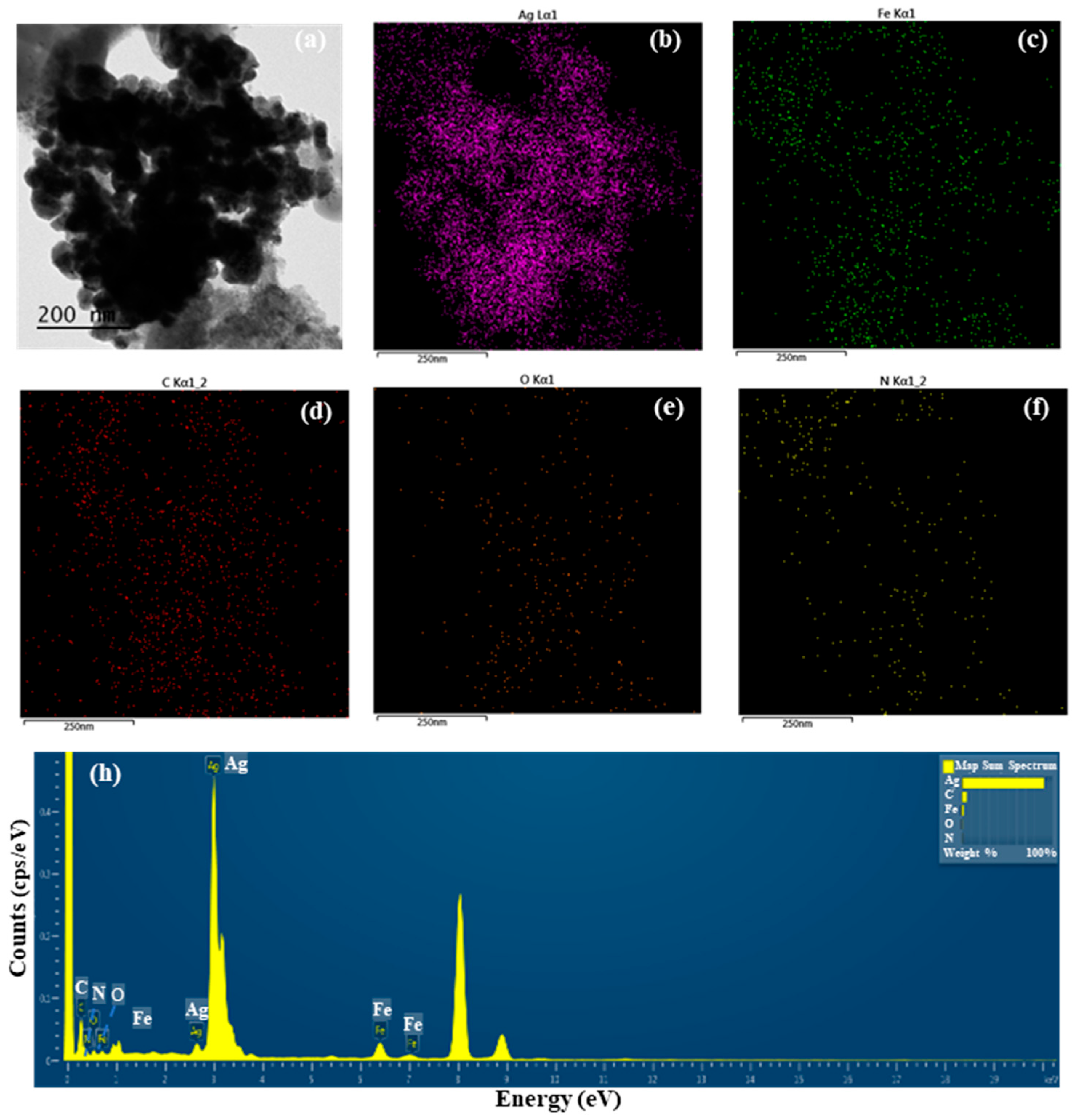Antioxidants 13 00154 g001