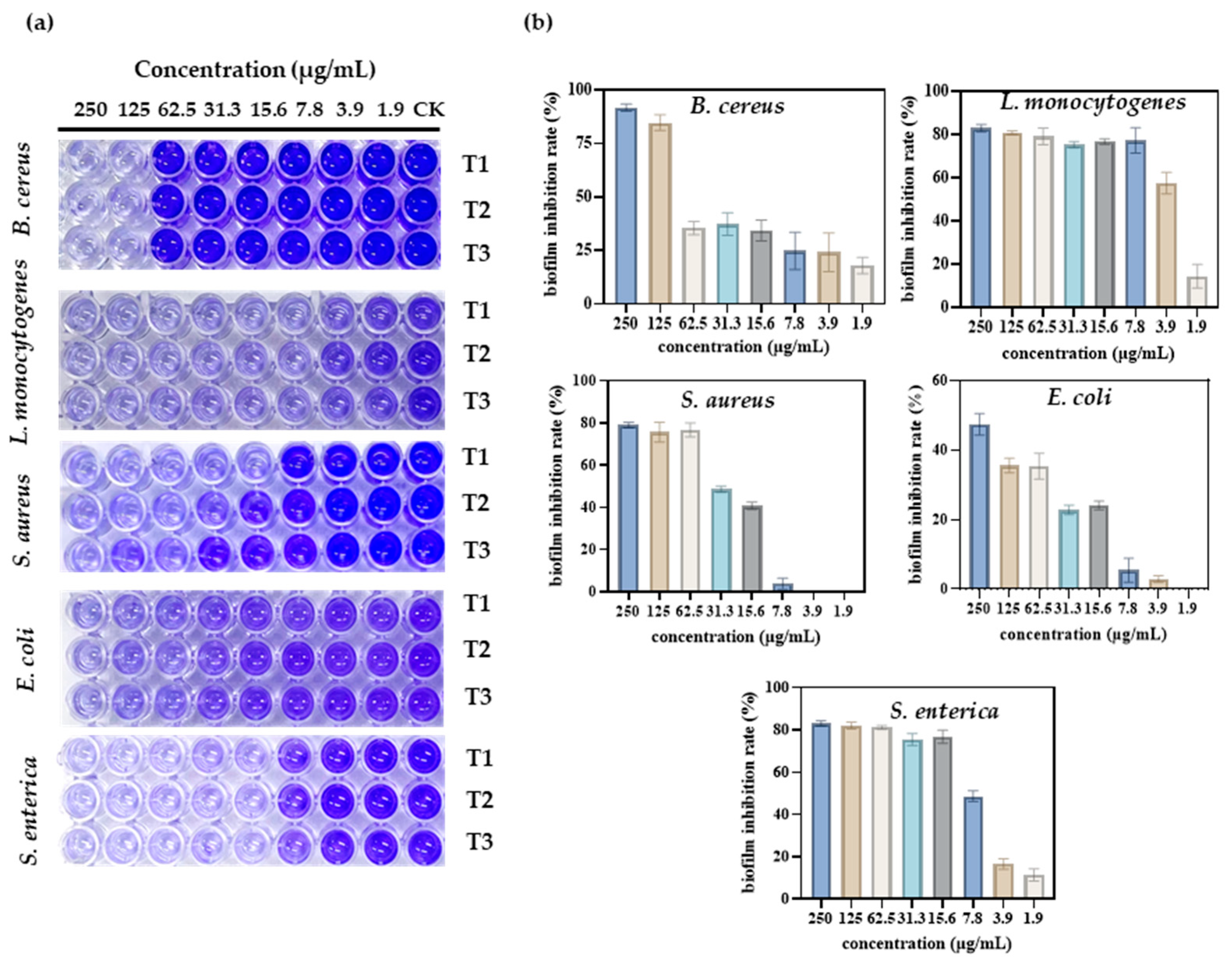 Antioxidants 13 00154 g005