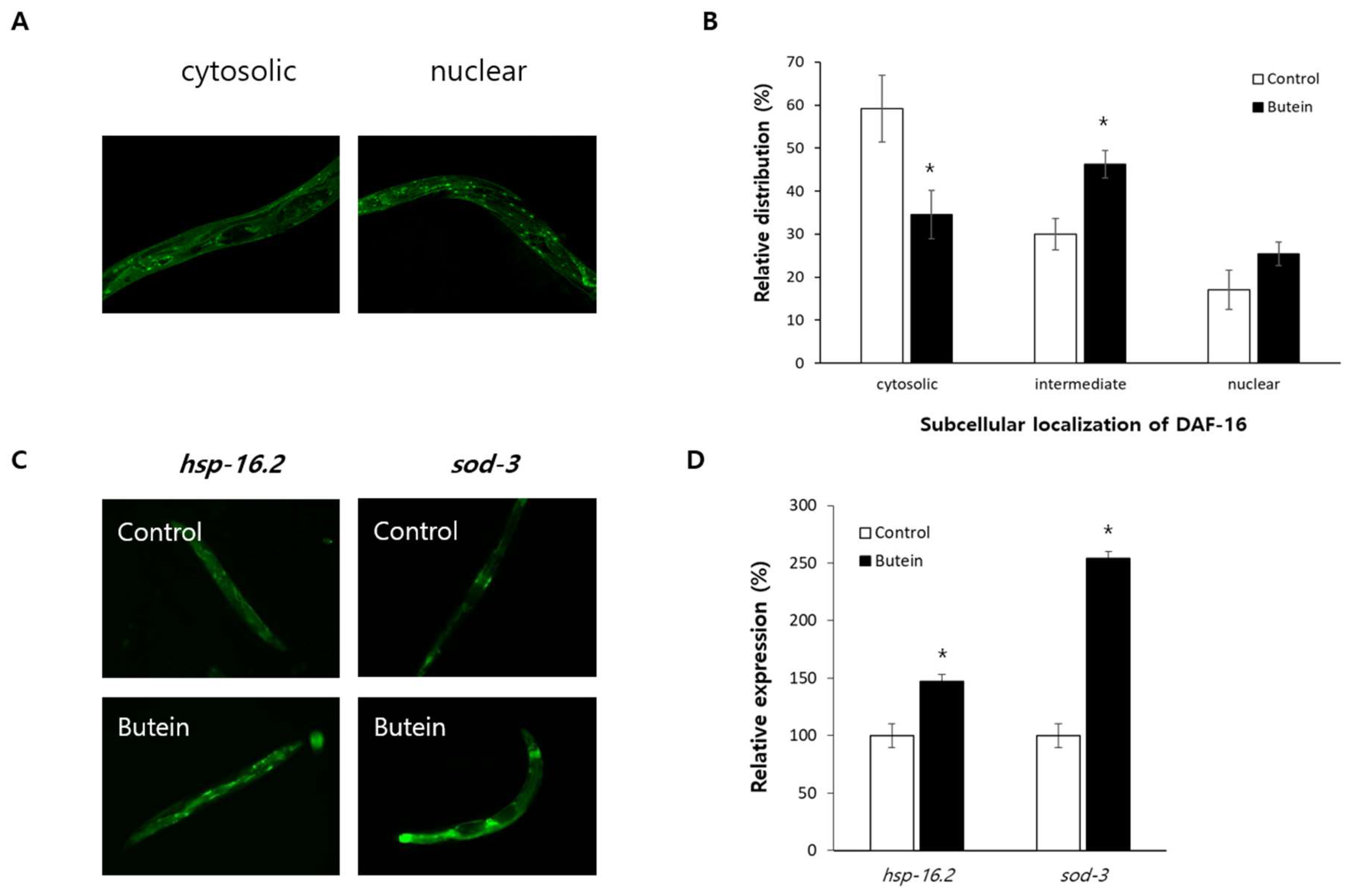 Antioxidants 13 00155 g004