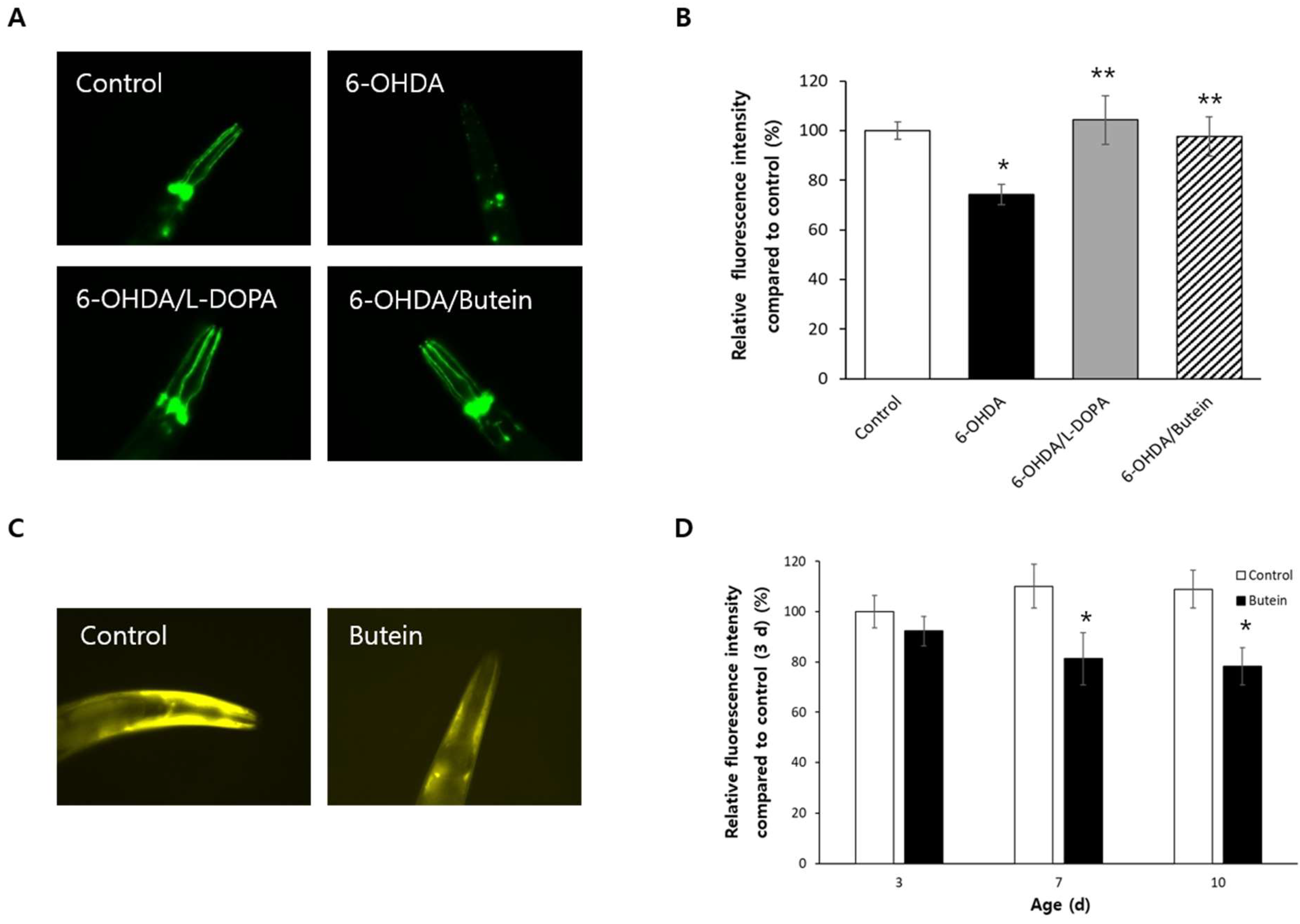 Antioxidants 13 00155 g006