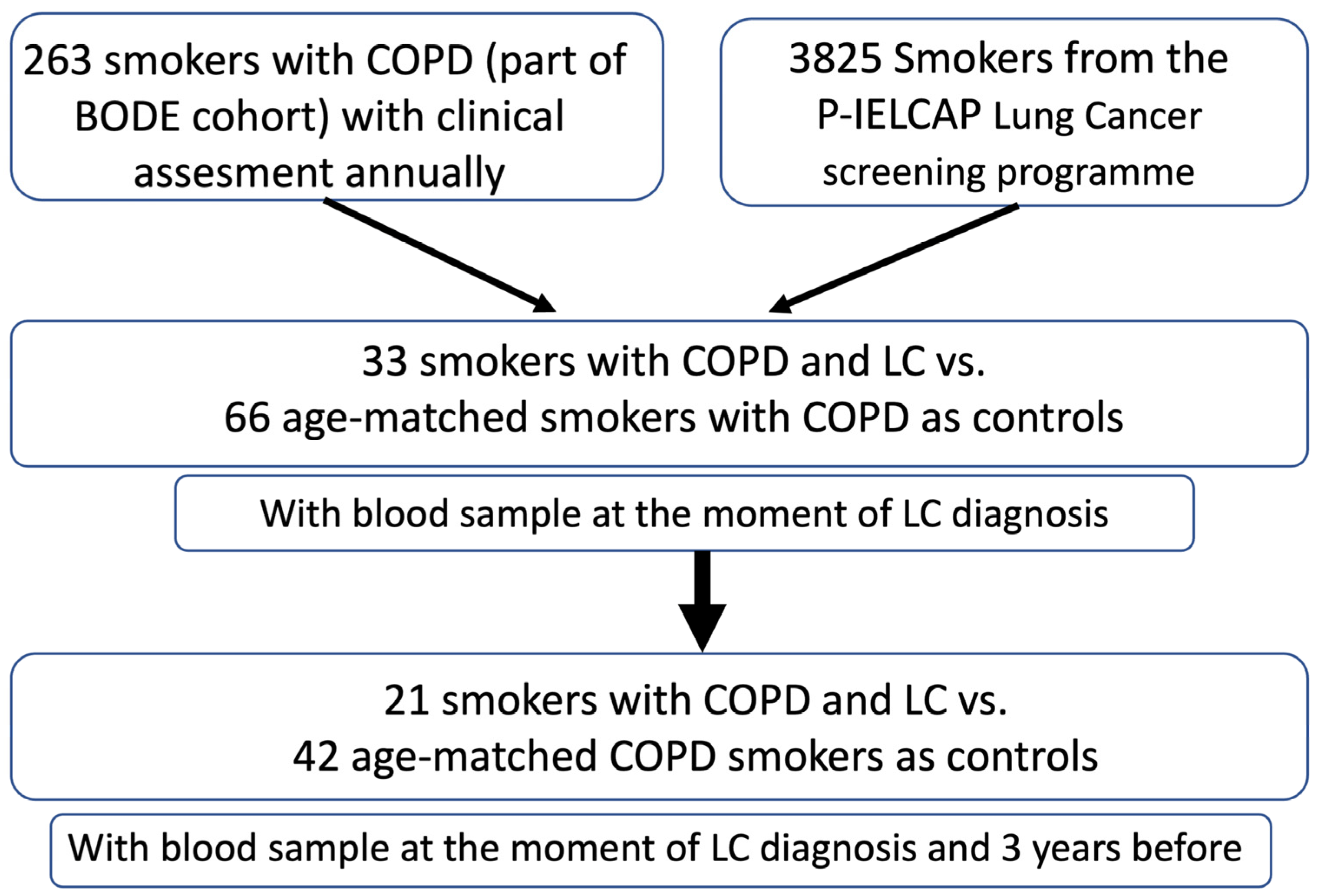 Antioxidants 13 00156 g001