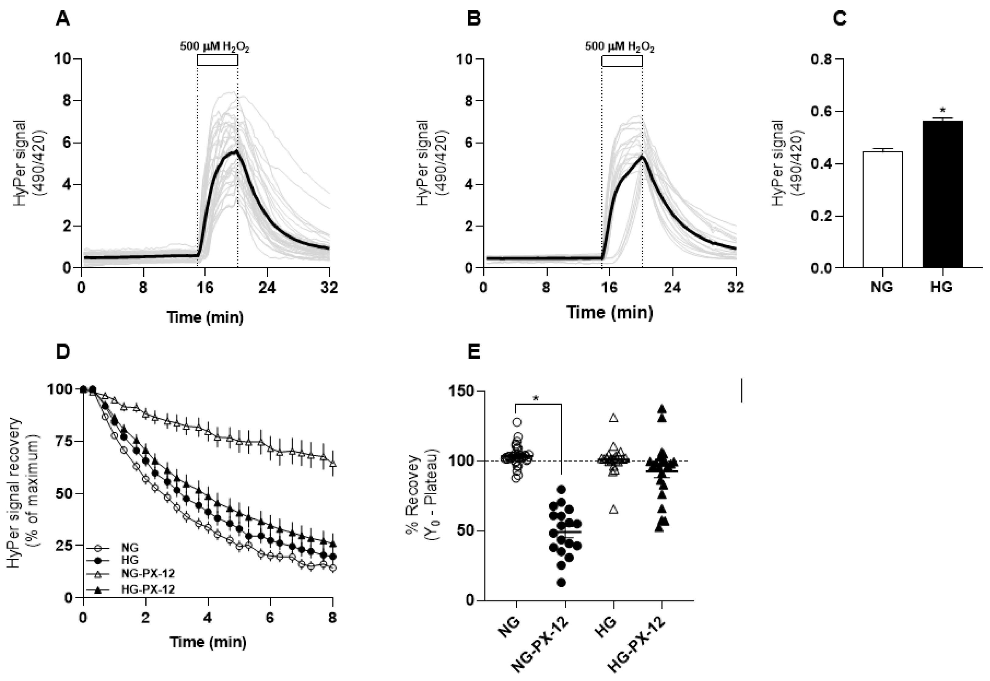 Antioxidants 13 00159 g001