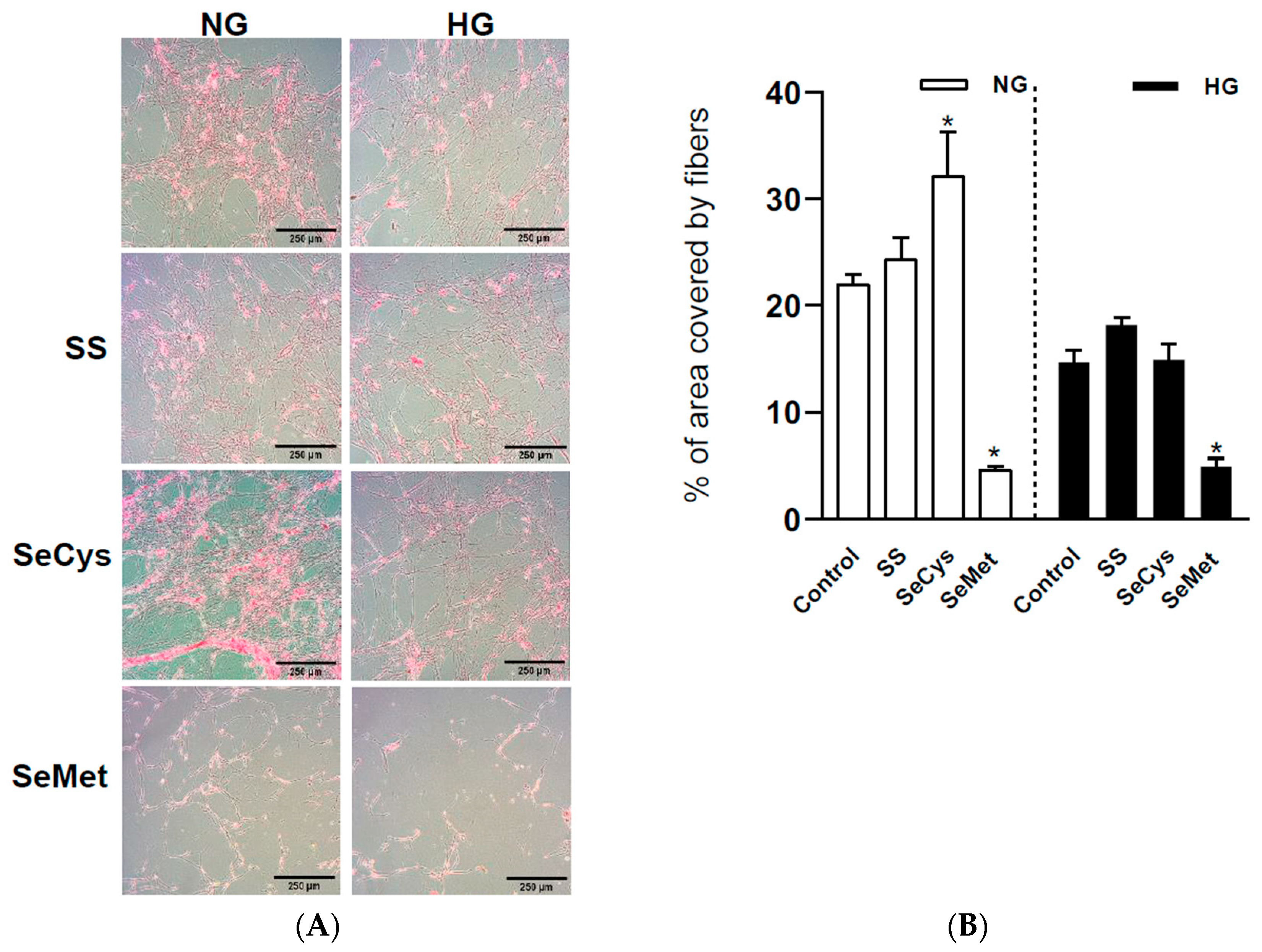 Antioxidants 13 00159 g003