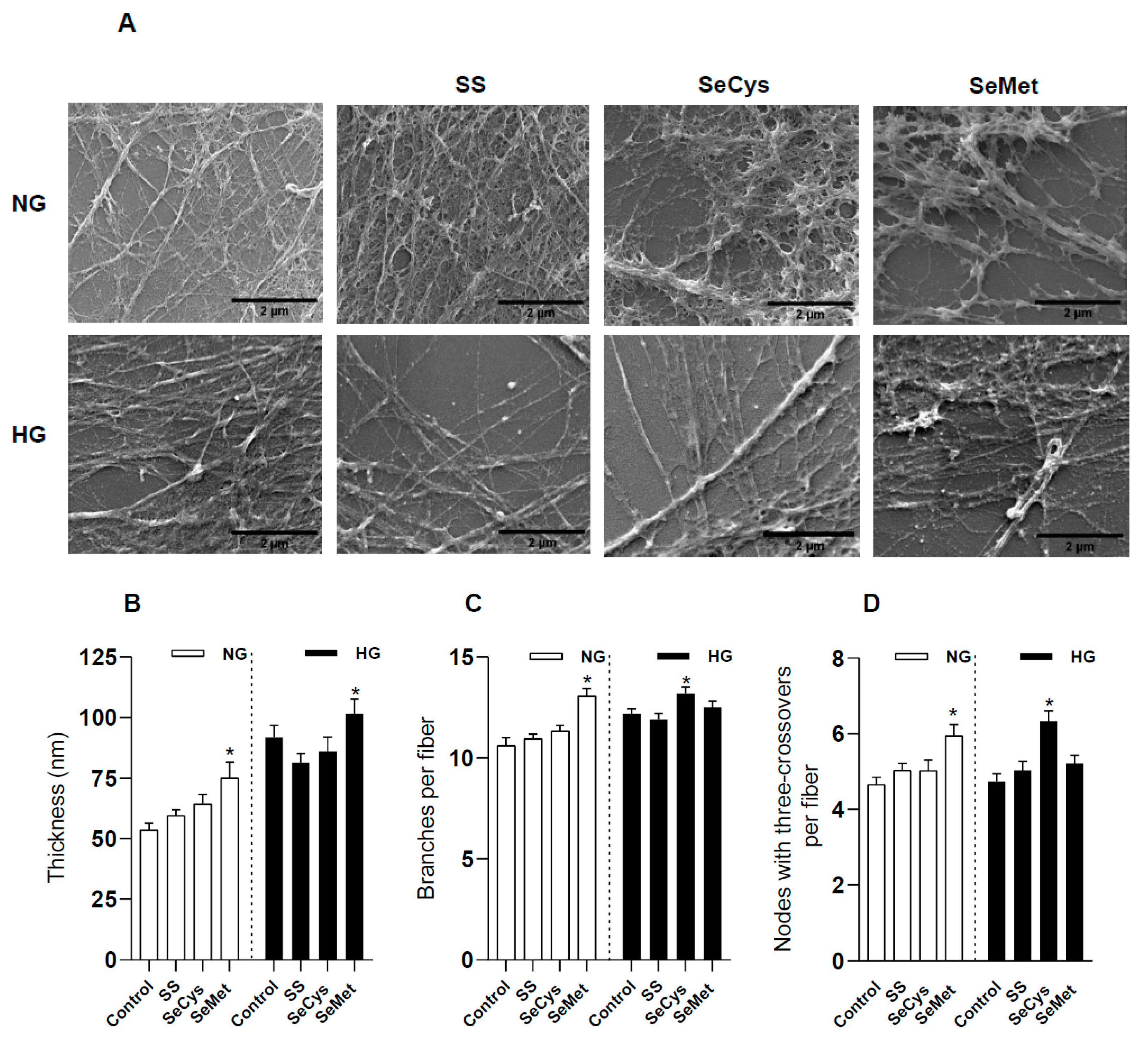 Antioxidants 13 00159 g004
