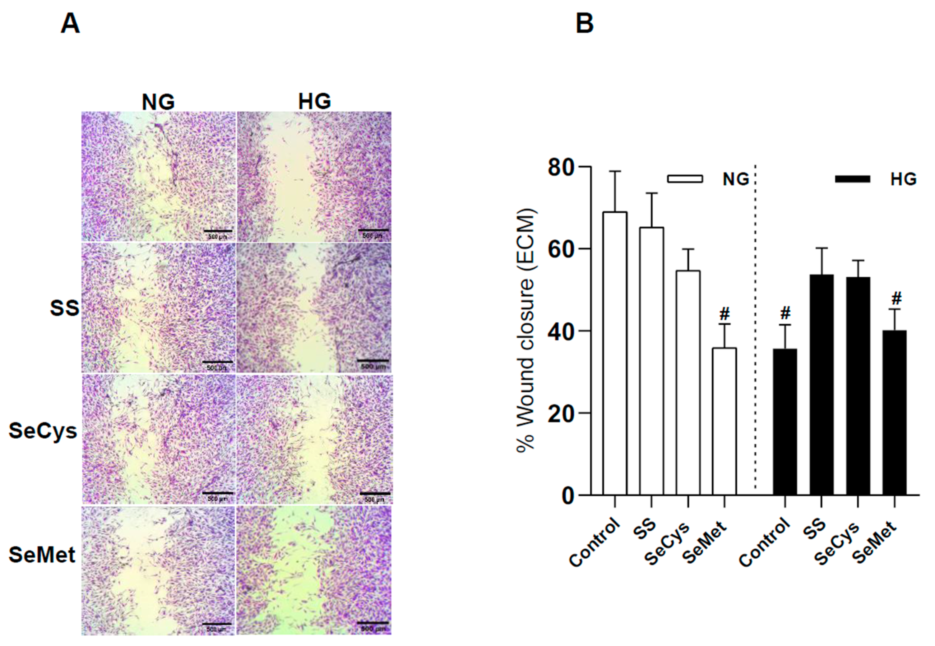 Antioxidants 13 00159 g005a