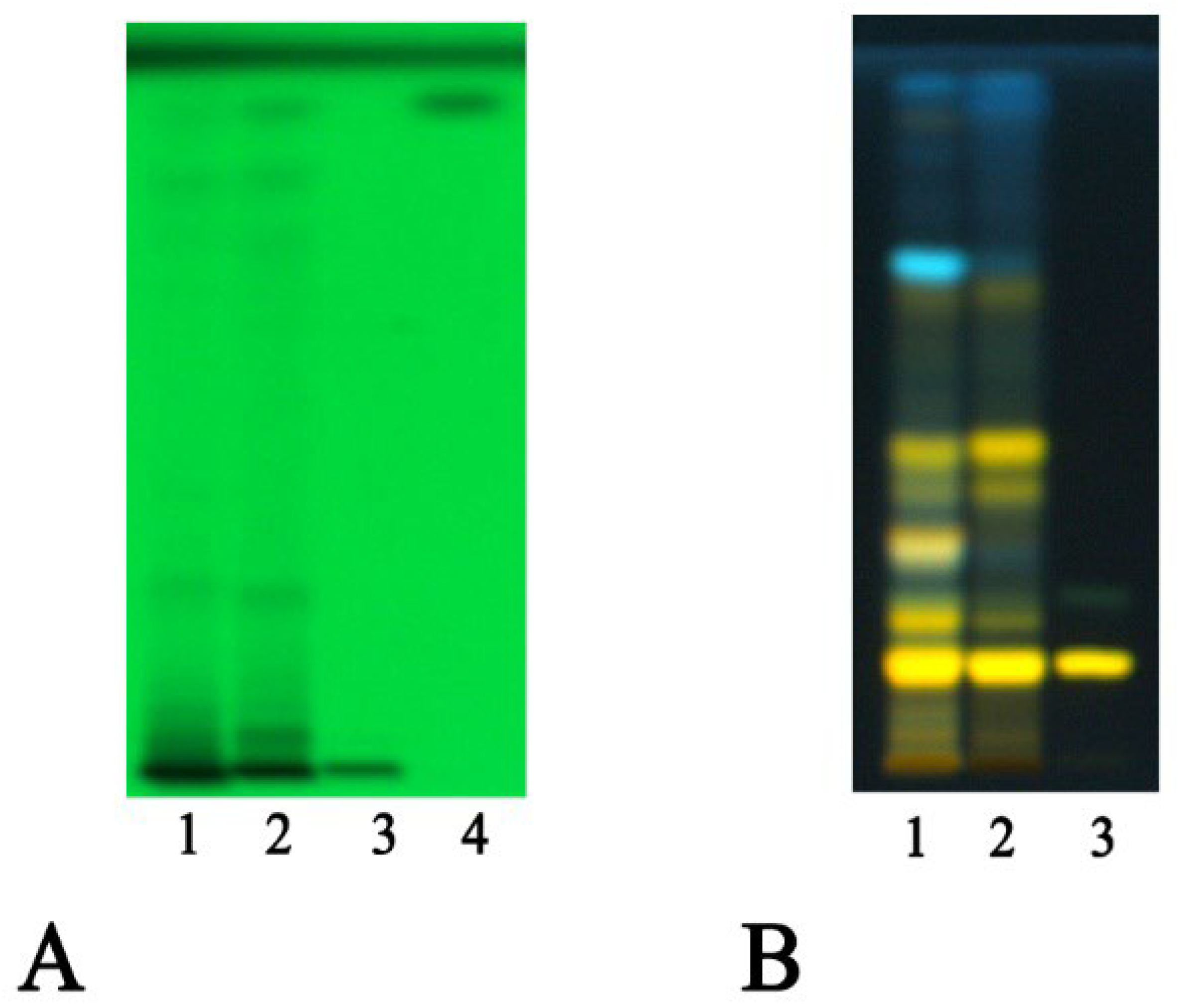 Antioxidants 13 00160 g001