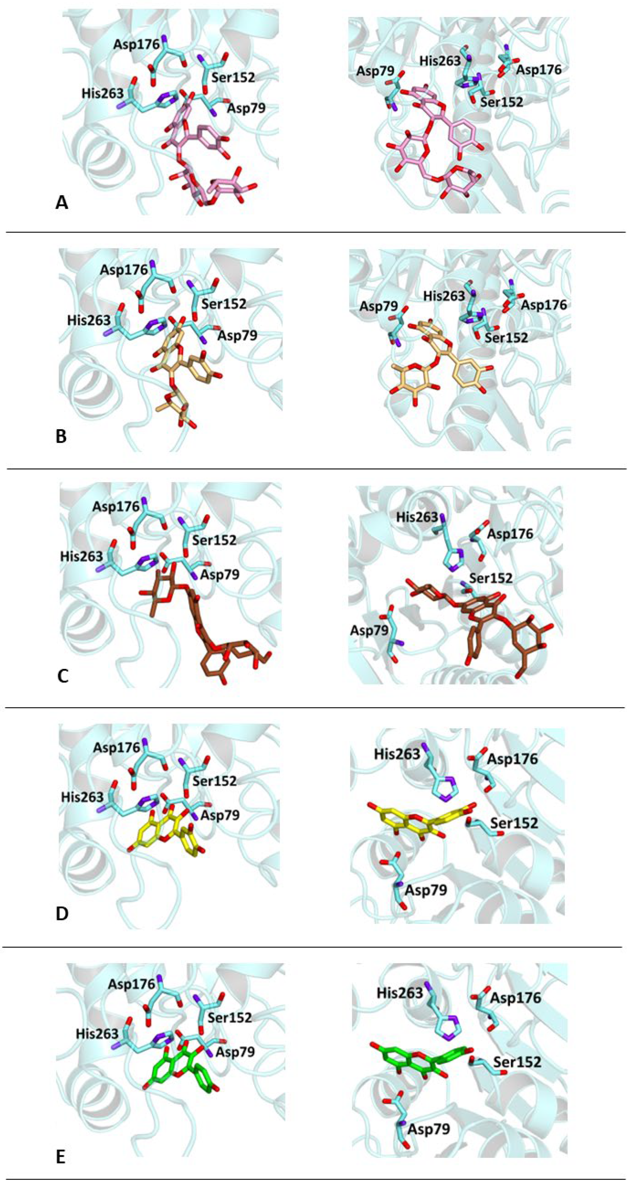 Antioxidants 13 00160 g006