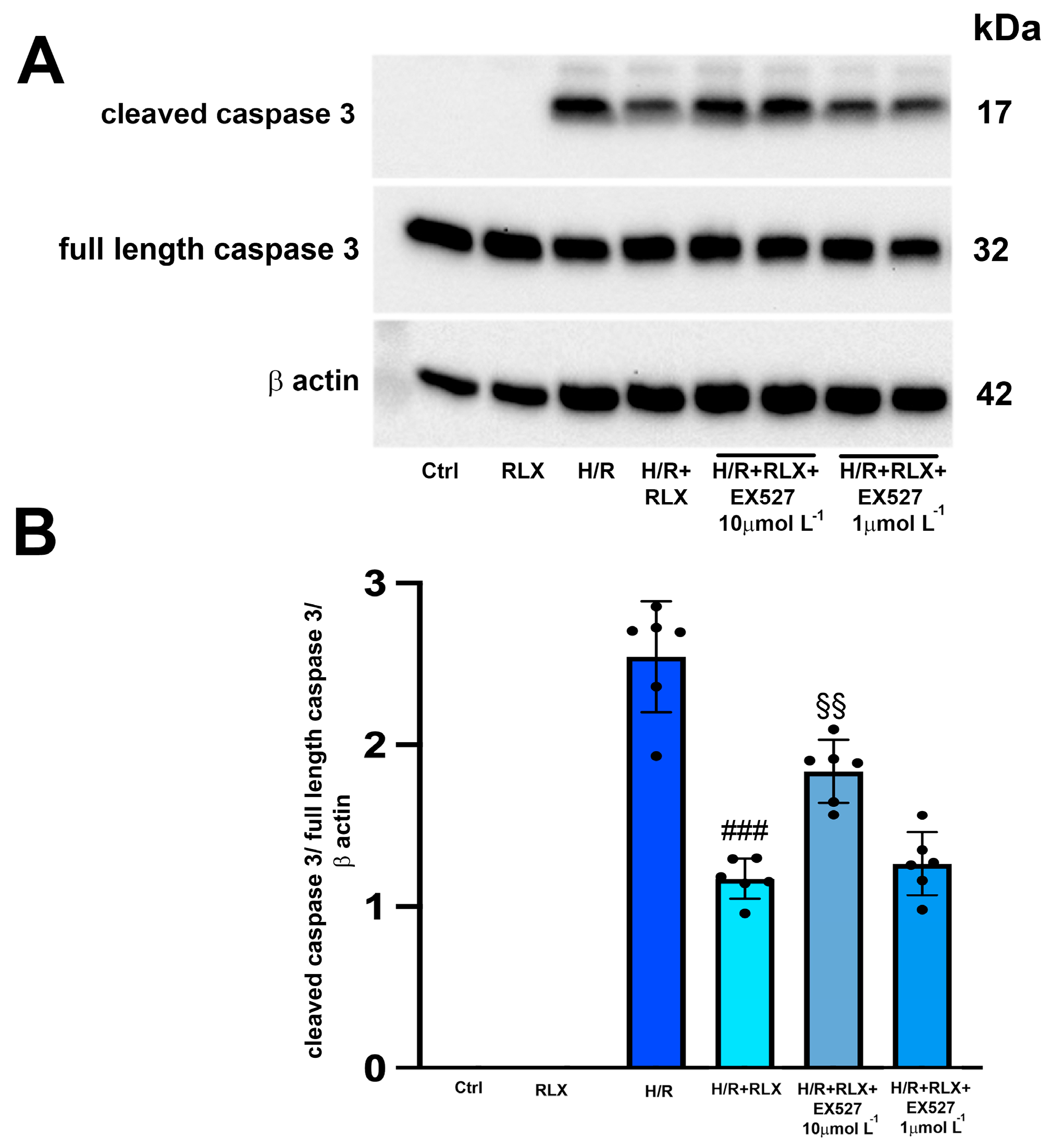 Antioxidants 13 00163 g004