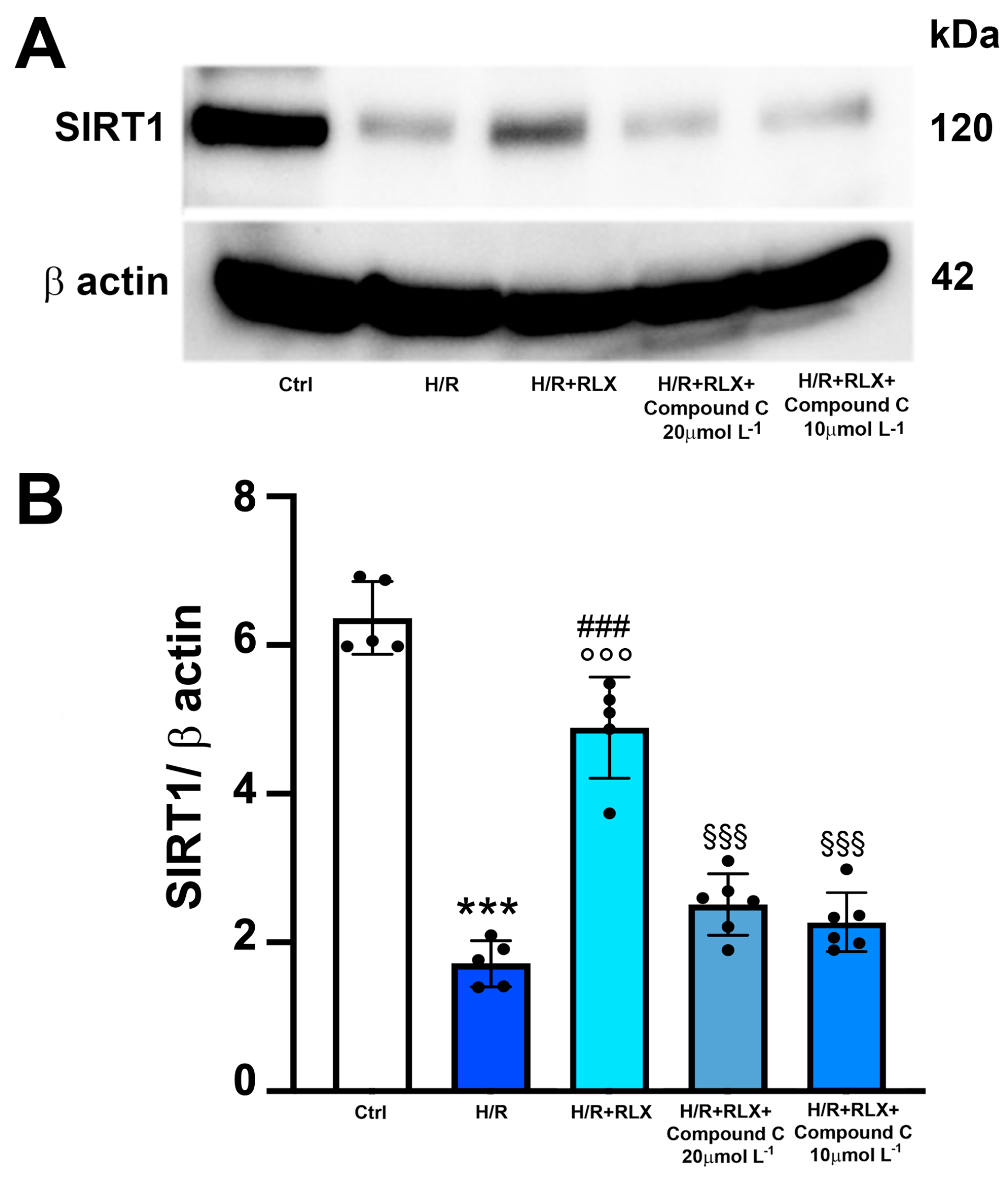 Antioxidants 13 00163 g006