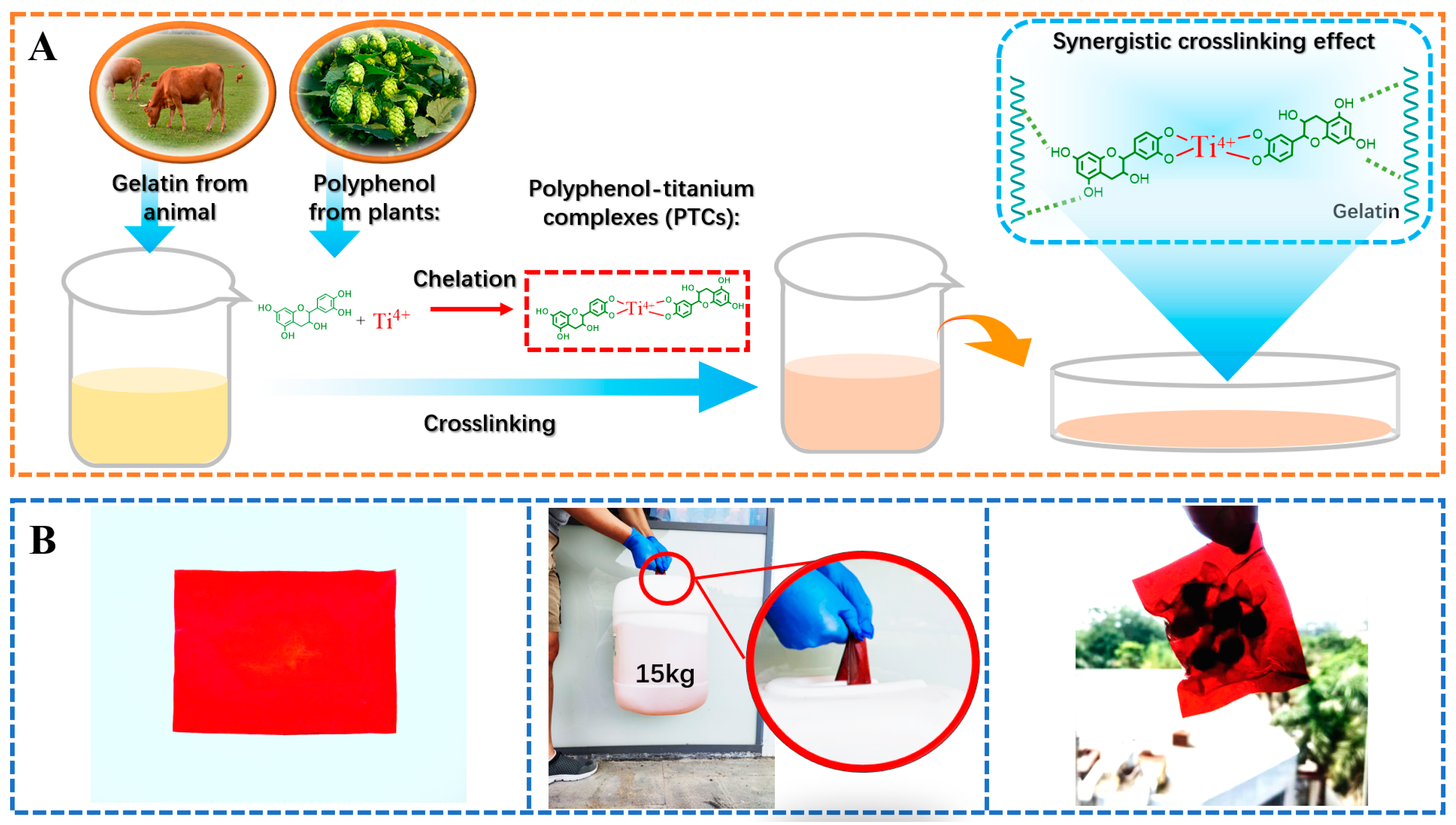 Antioxidants 13 00167 g002