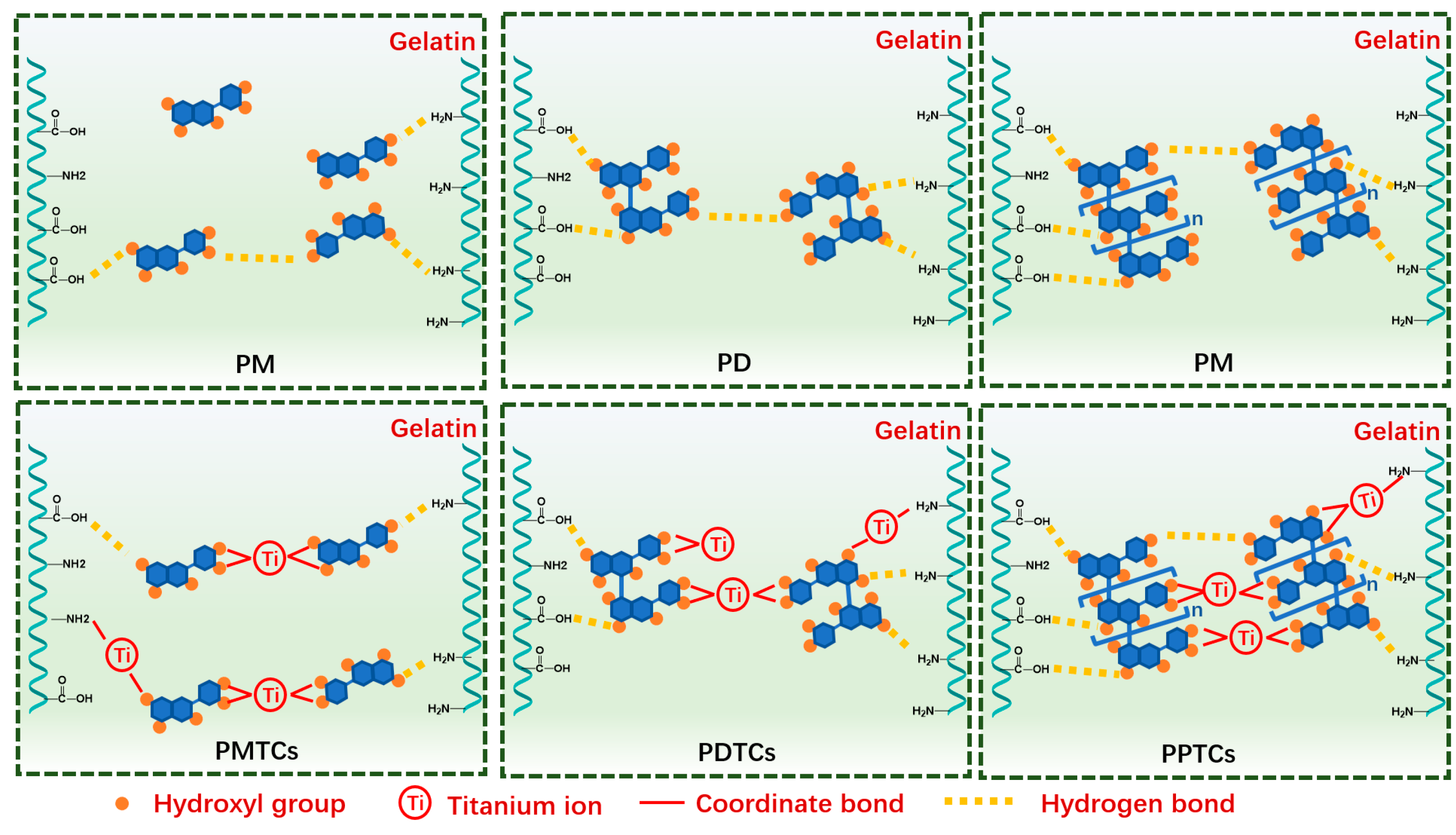 Antioxidants 13 00167 g005