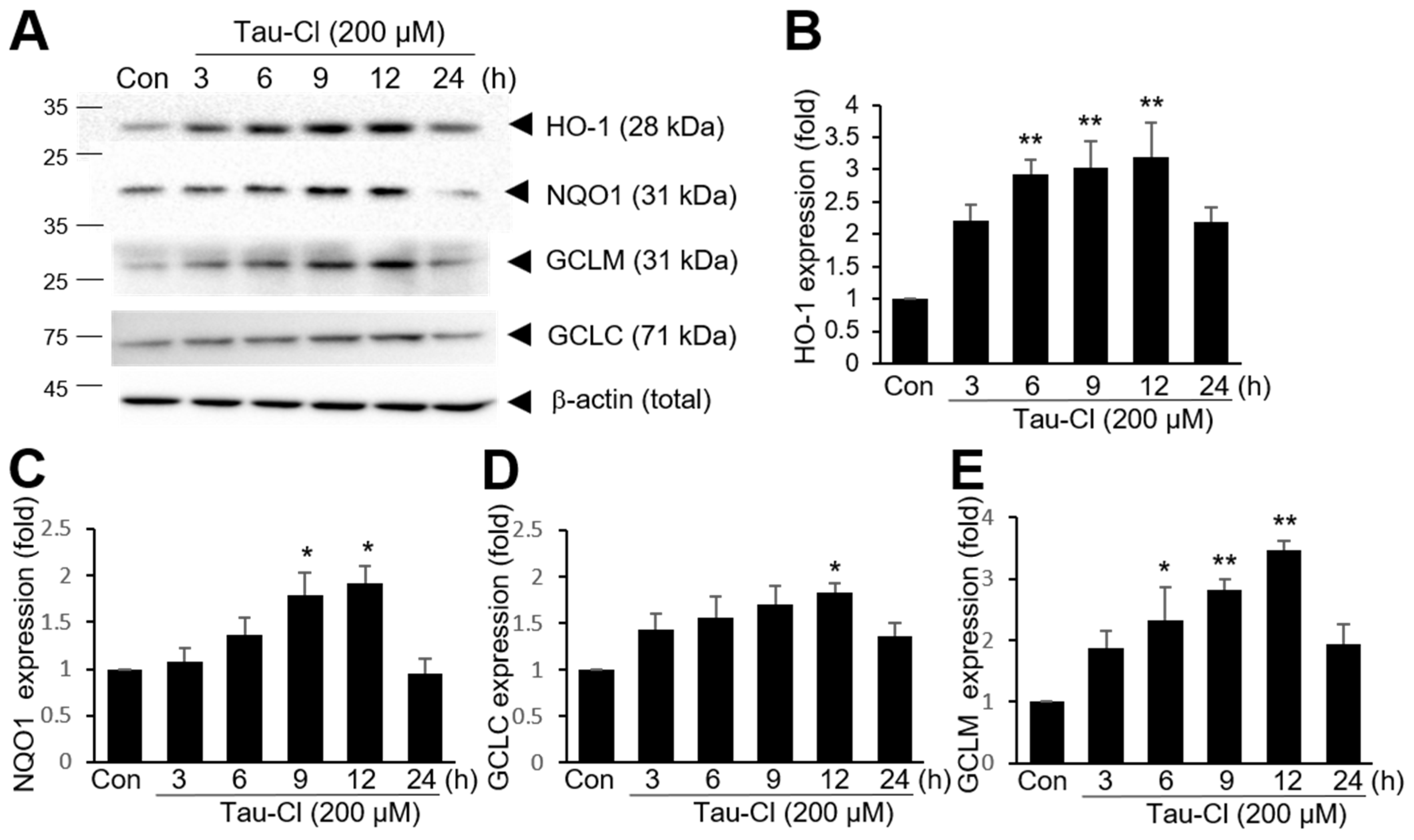 Antioxidants 13 00169 g002
