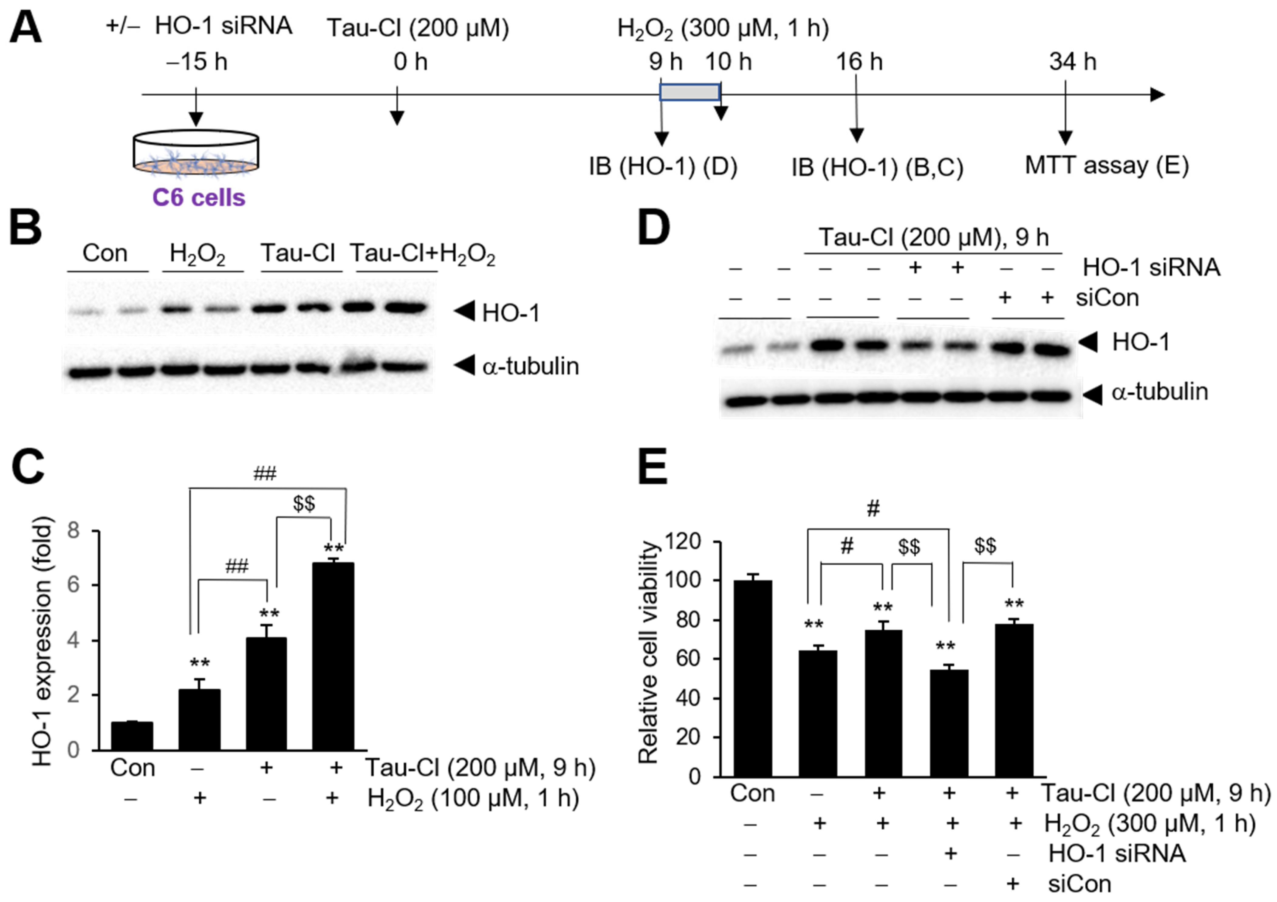 Antioxidants 13 00169 g005