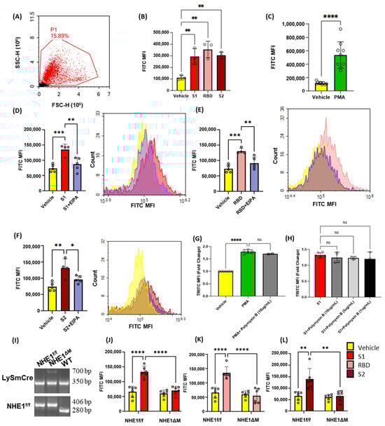 Antioxidants 13 00175 g001