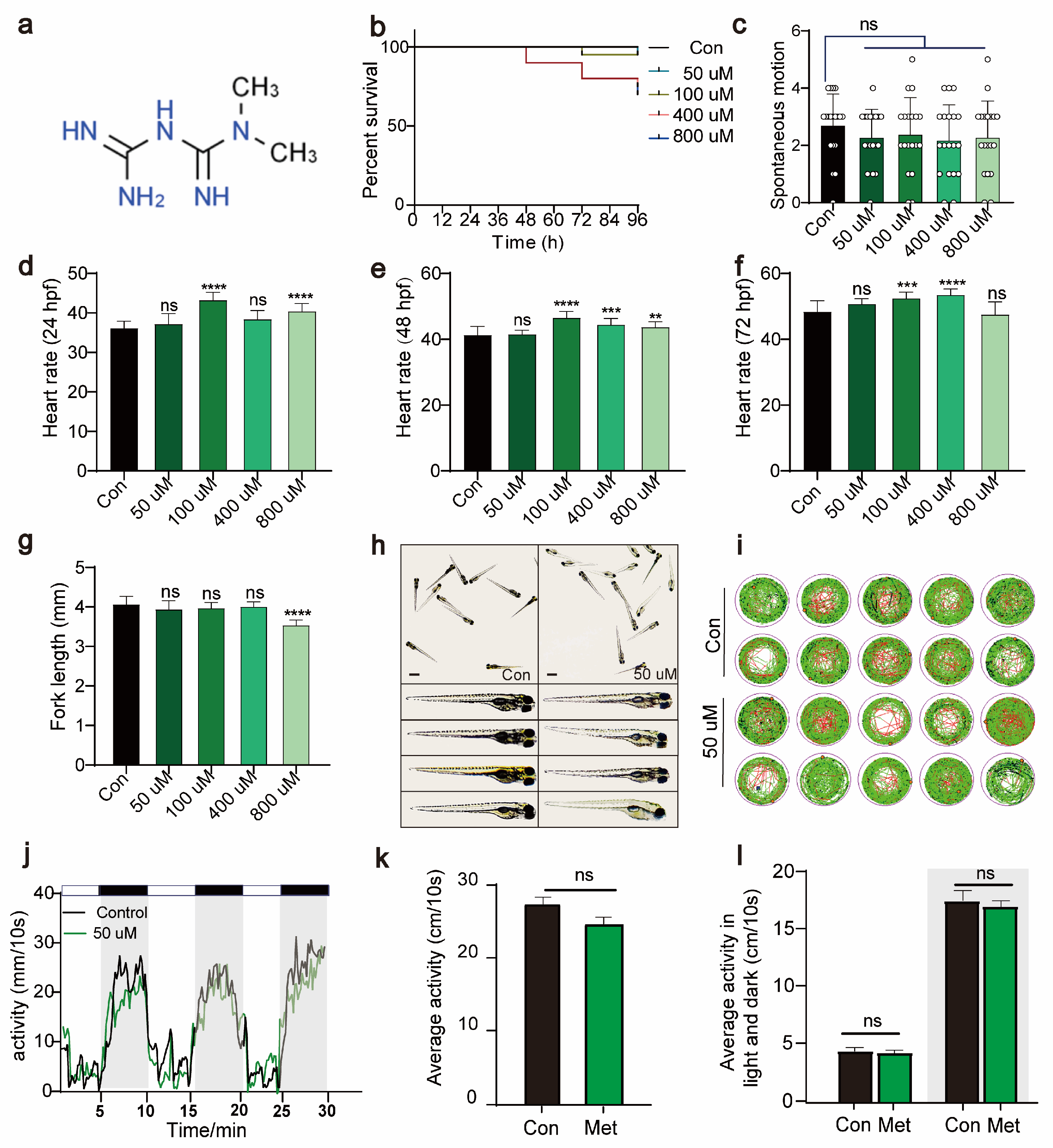 Antioxidants 13 00176 g001