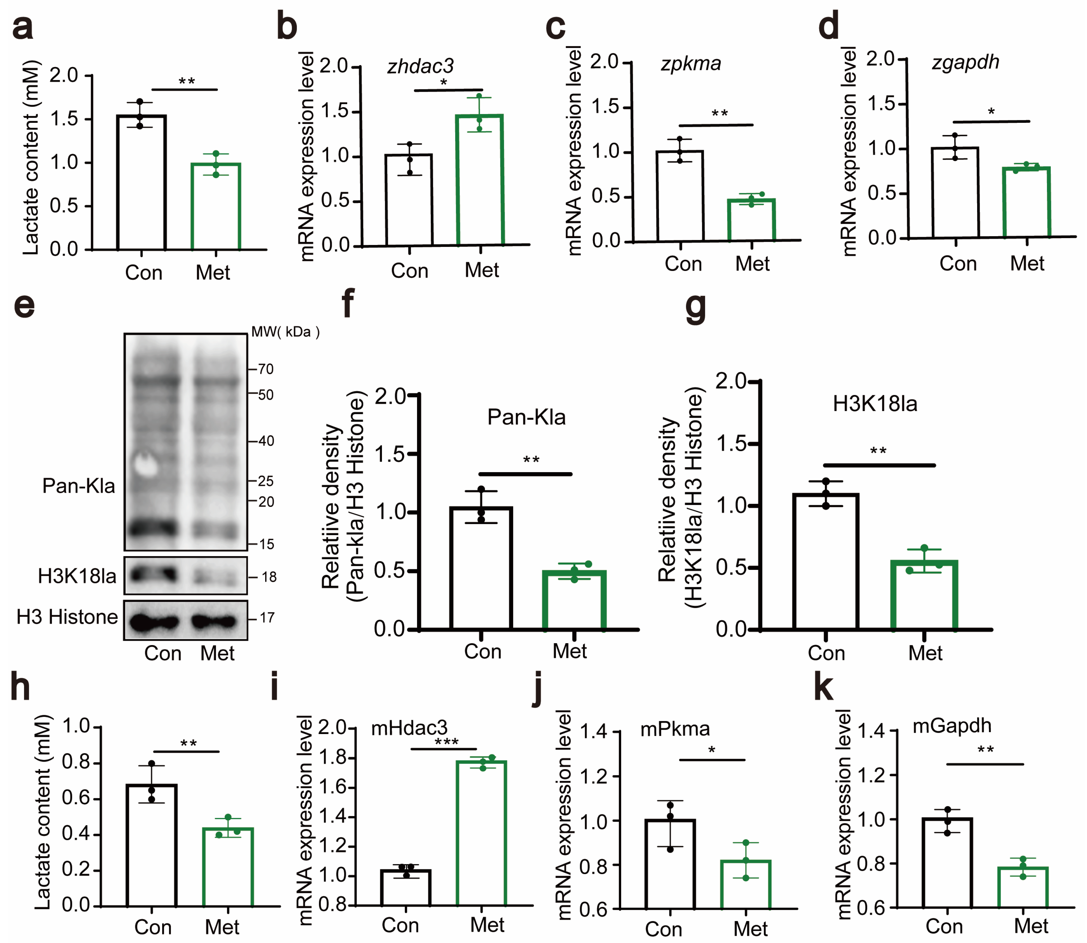 Antioxidants 13 00176 g005