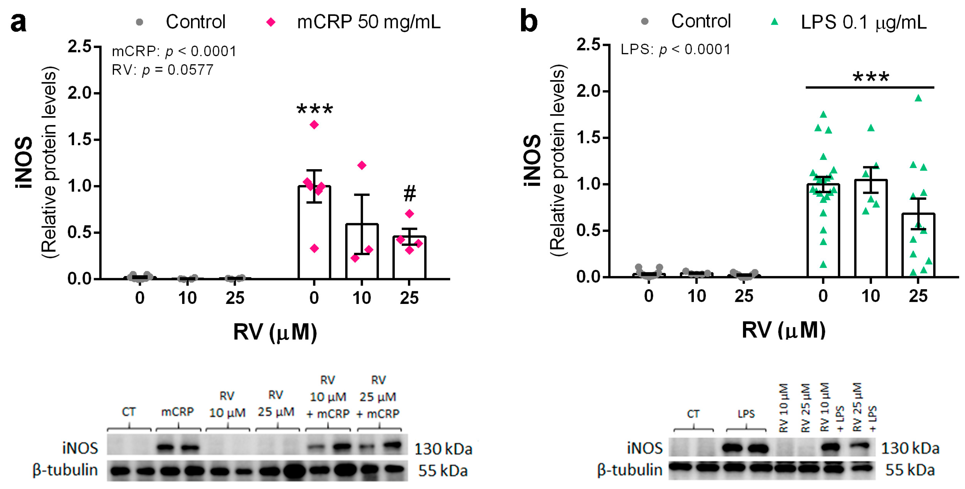 Antioxidants 13 00177 g003
