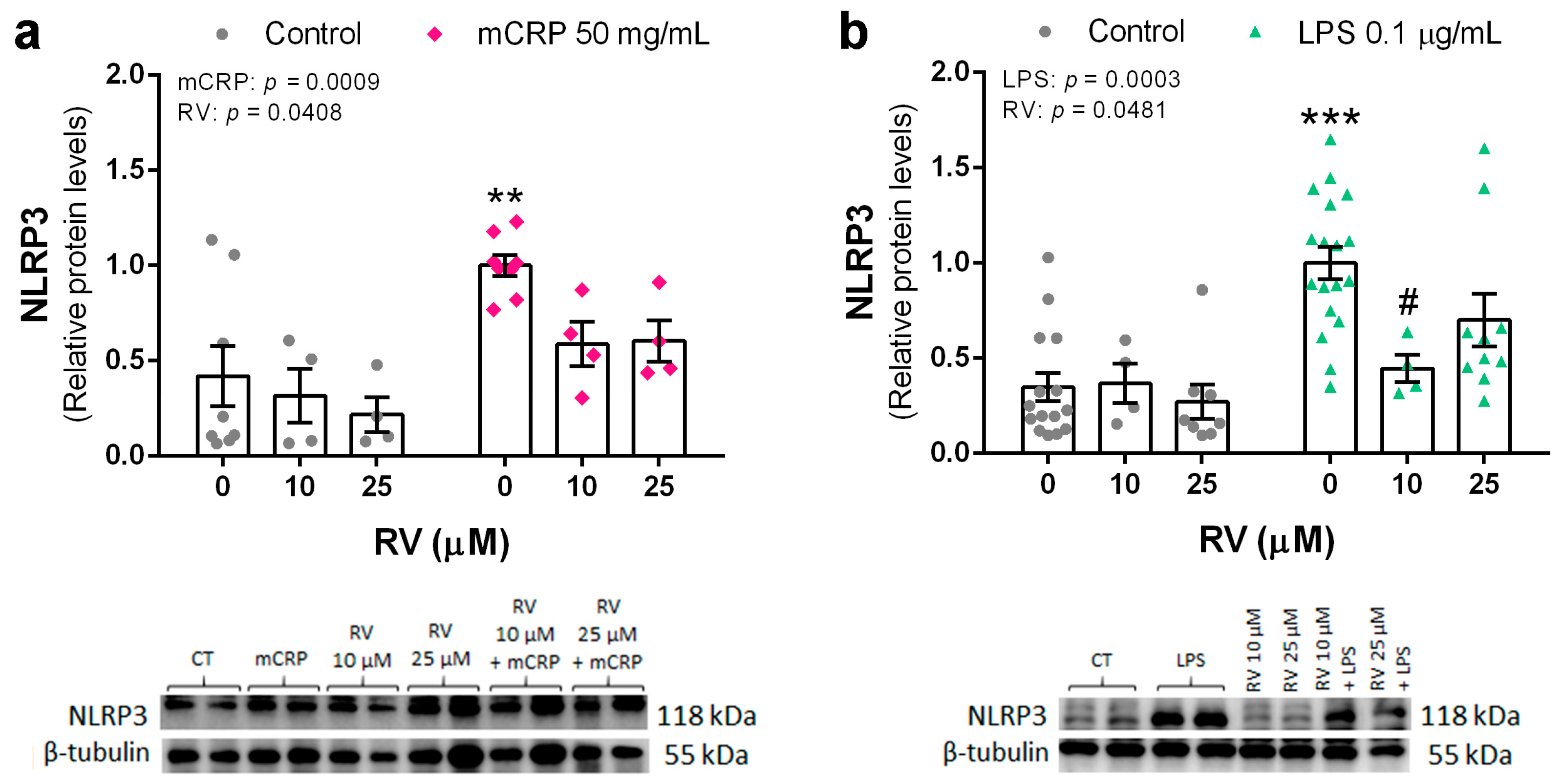 Antioxidants 13 00177 g004