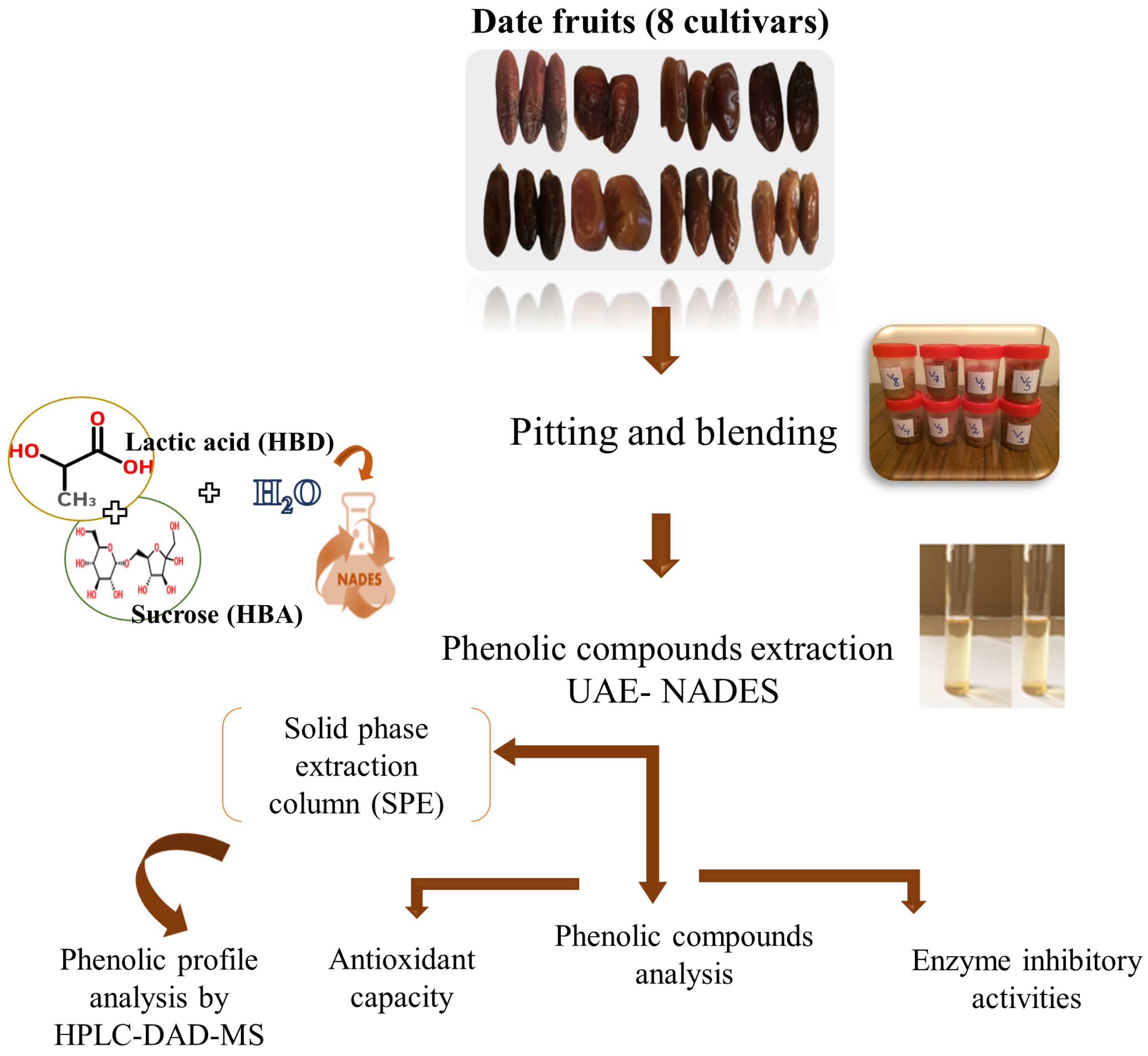 Antioxidants 13 00181 g001