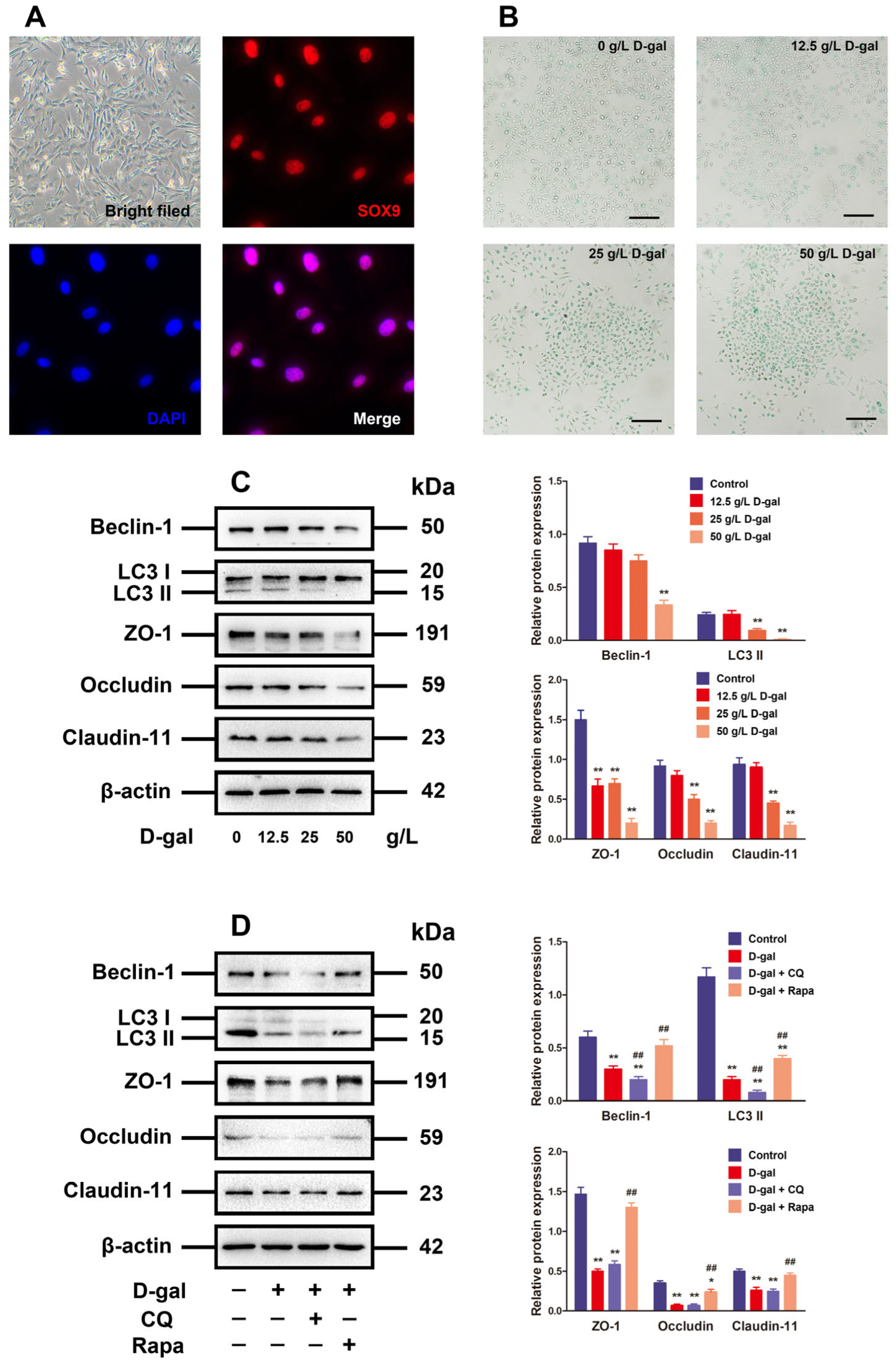 Antioxidants 13 00183 g002