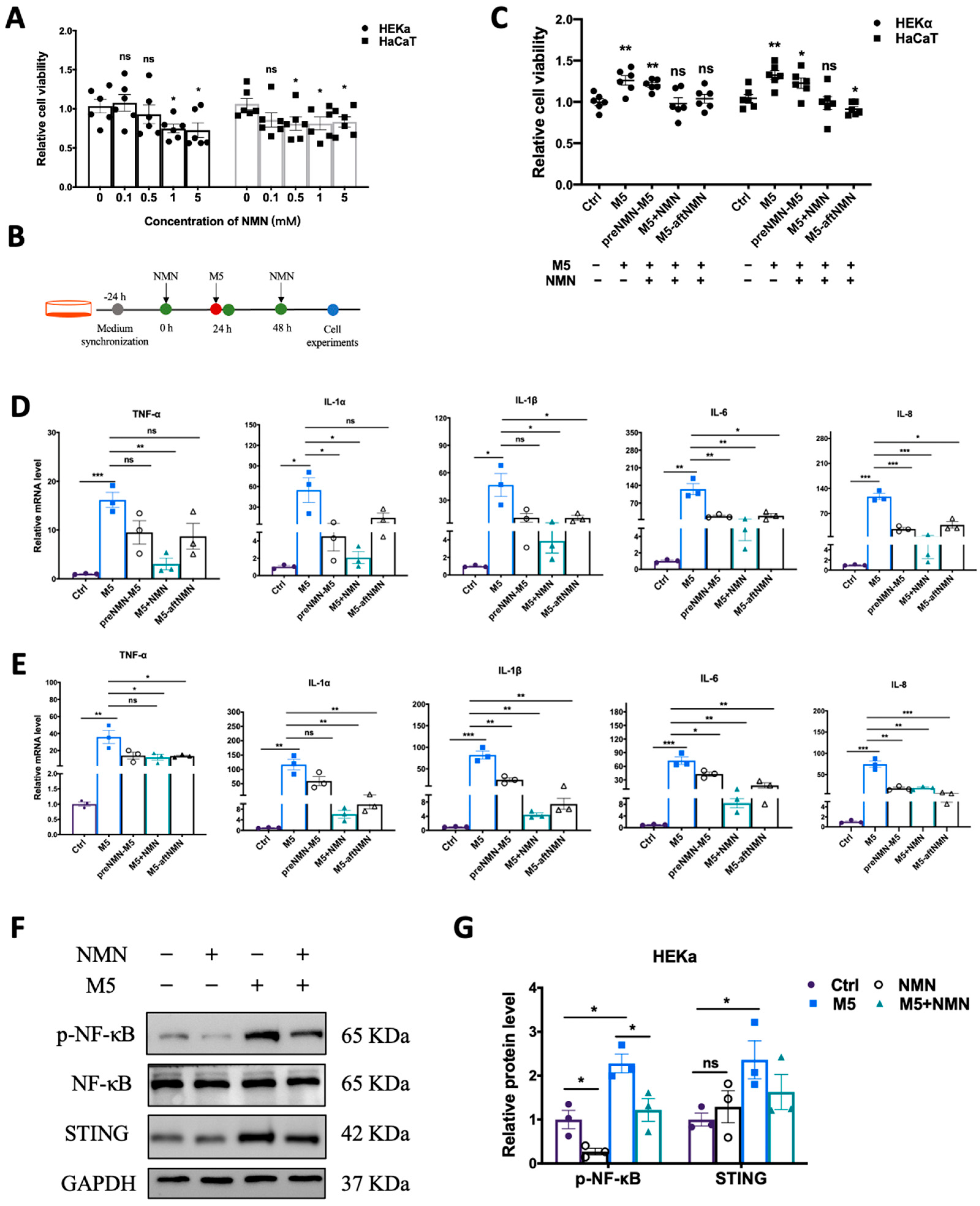 Antioxidants 13 00186 g001