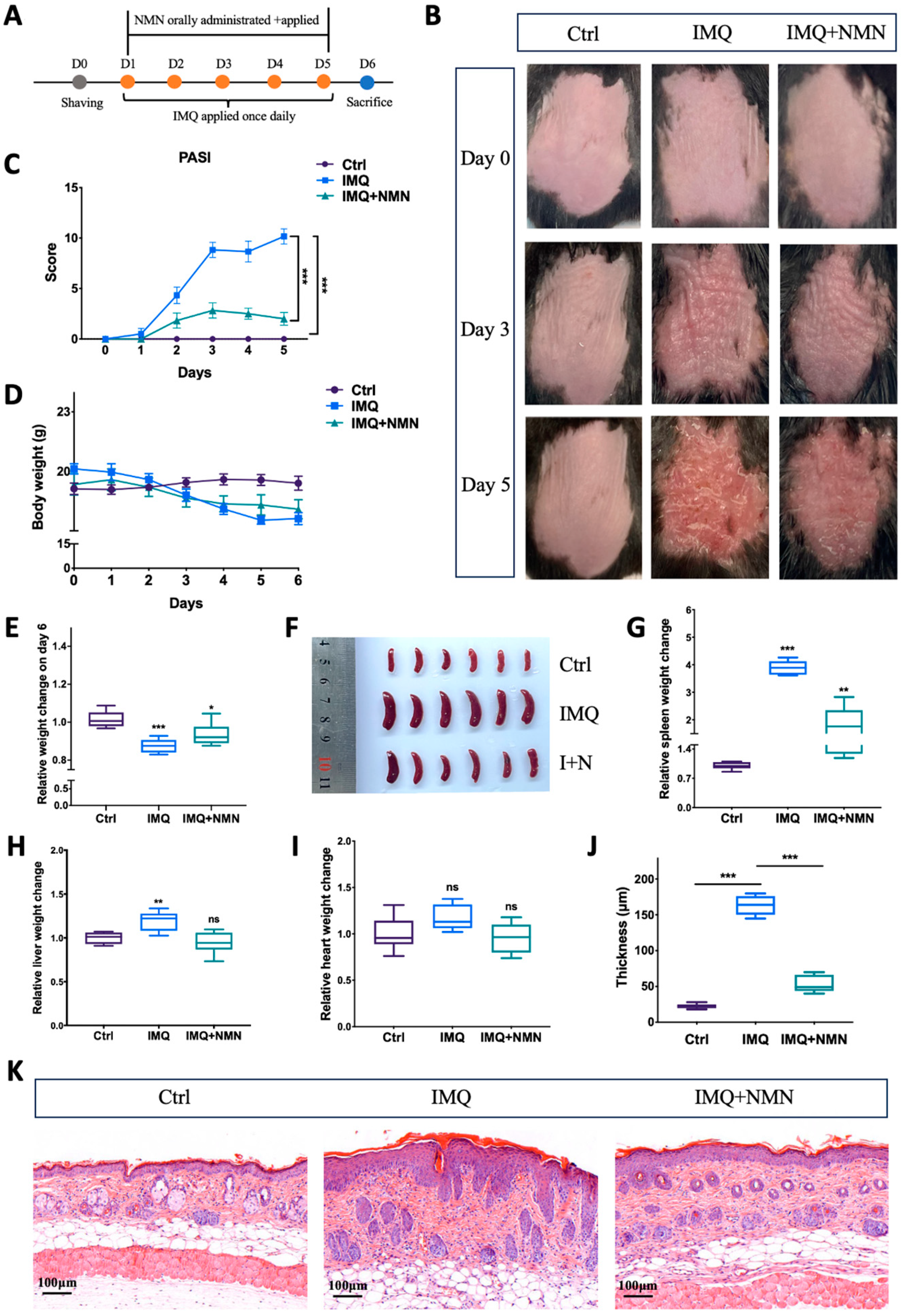 Antioxidants 13 00186 g002