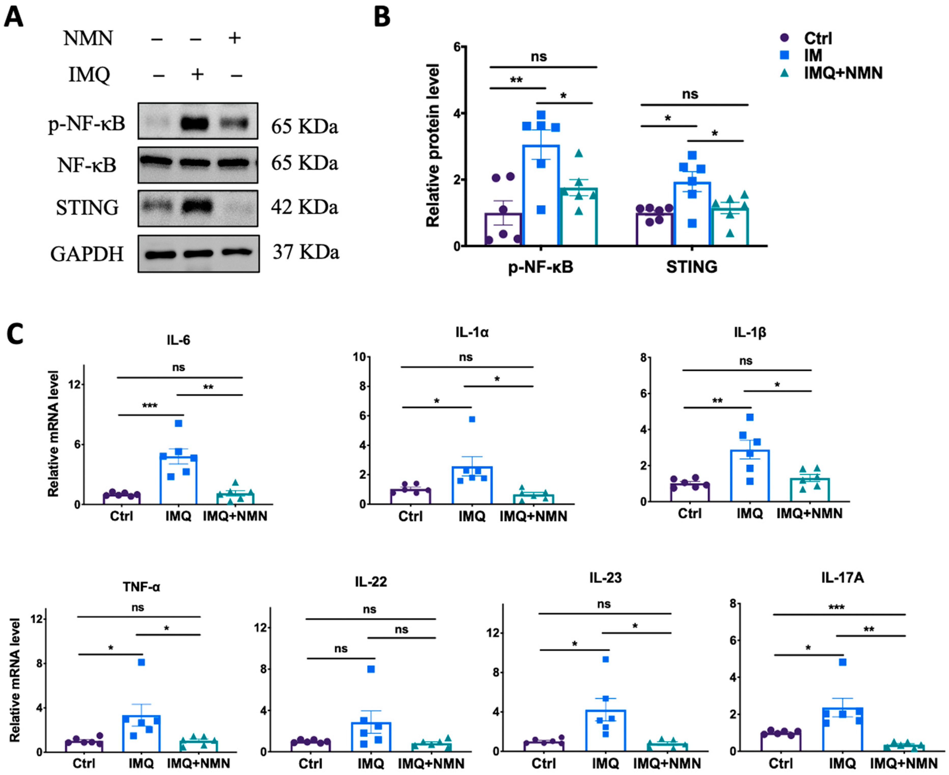 Antioxidants 13 00186 g003