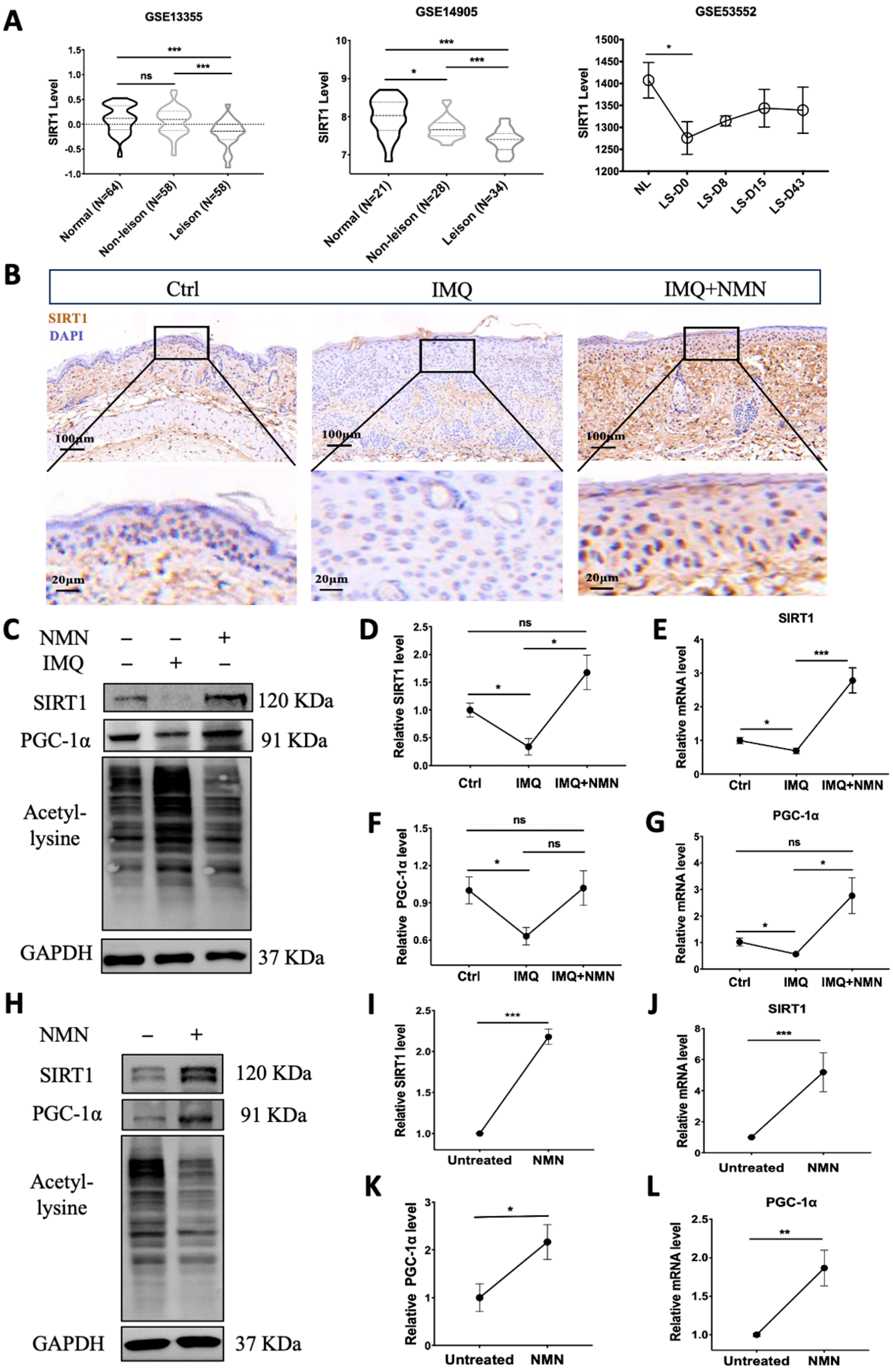 Antioxidants 13 00186 g007