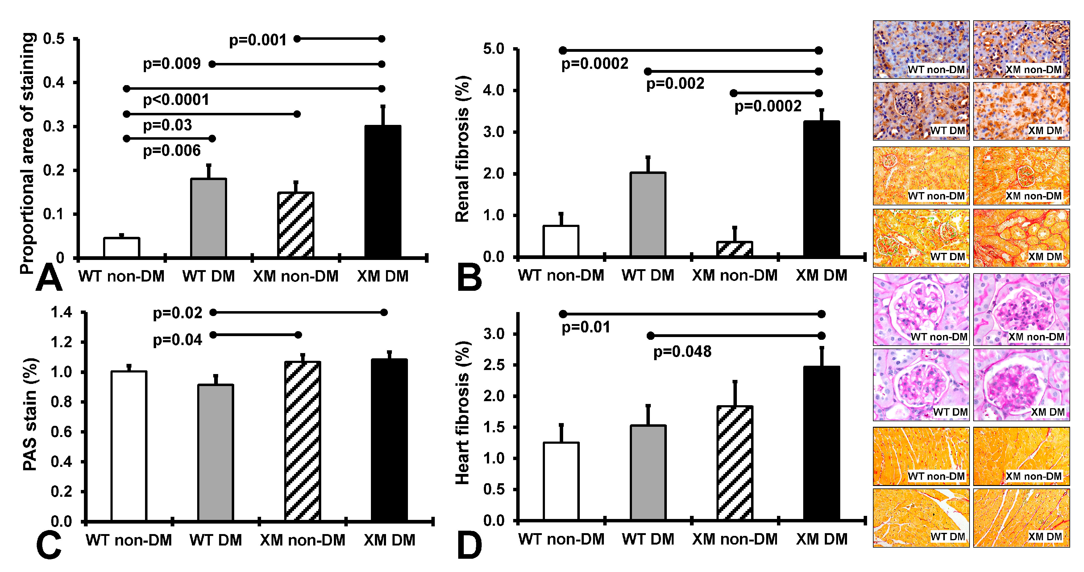 Antioxidants 13 00187 g002