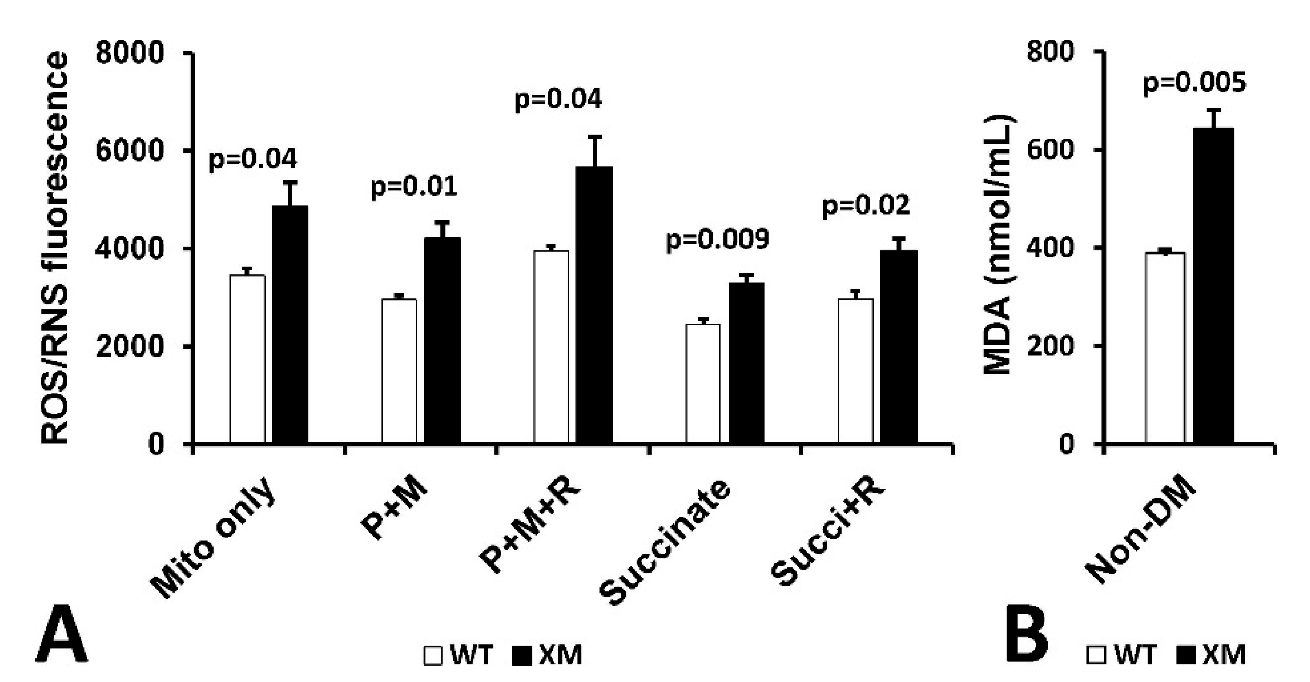 Antioxidants 13 00187 g006